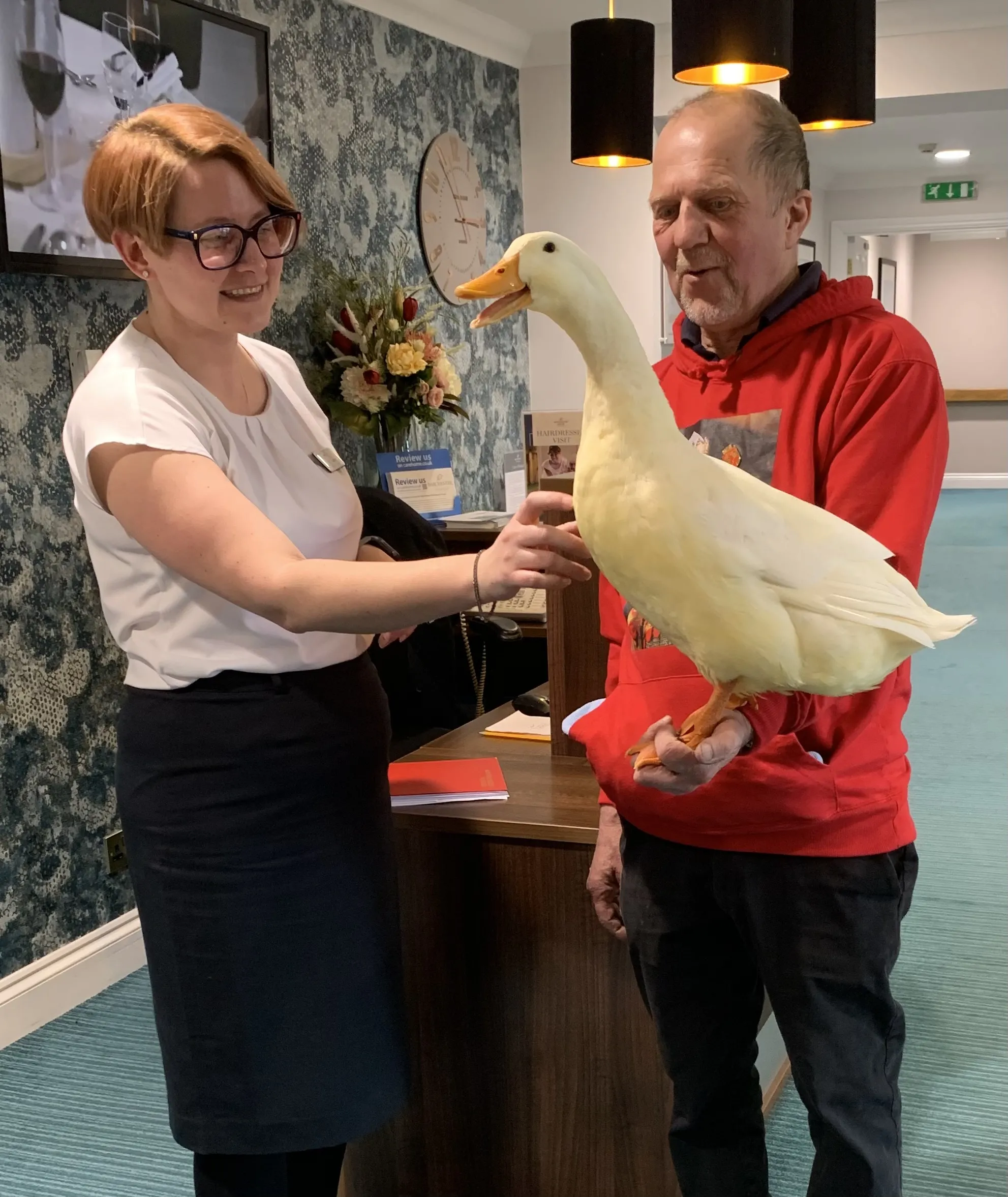 Therapy ducks 