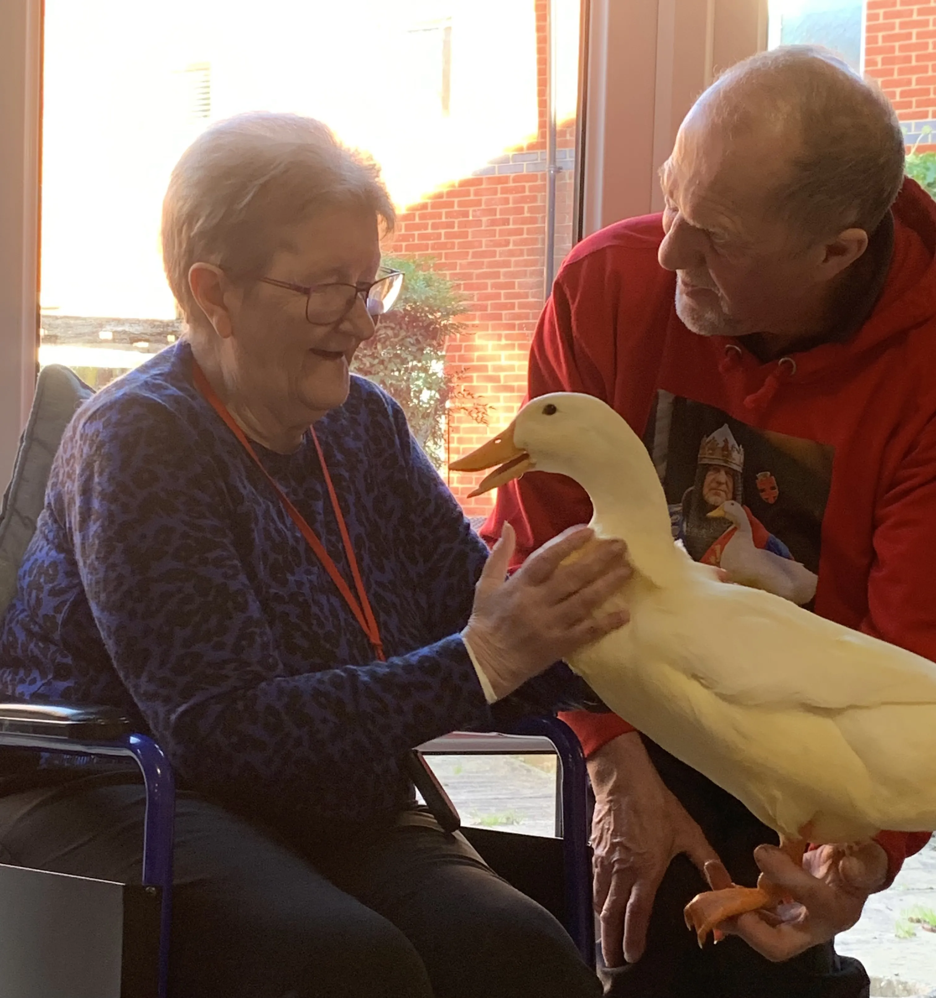 Therapy ducks 