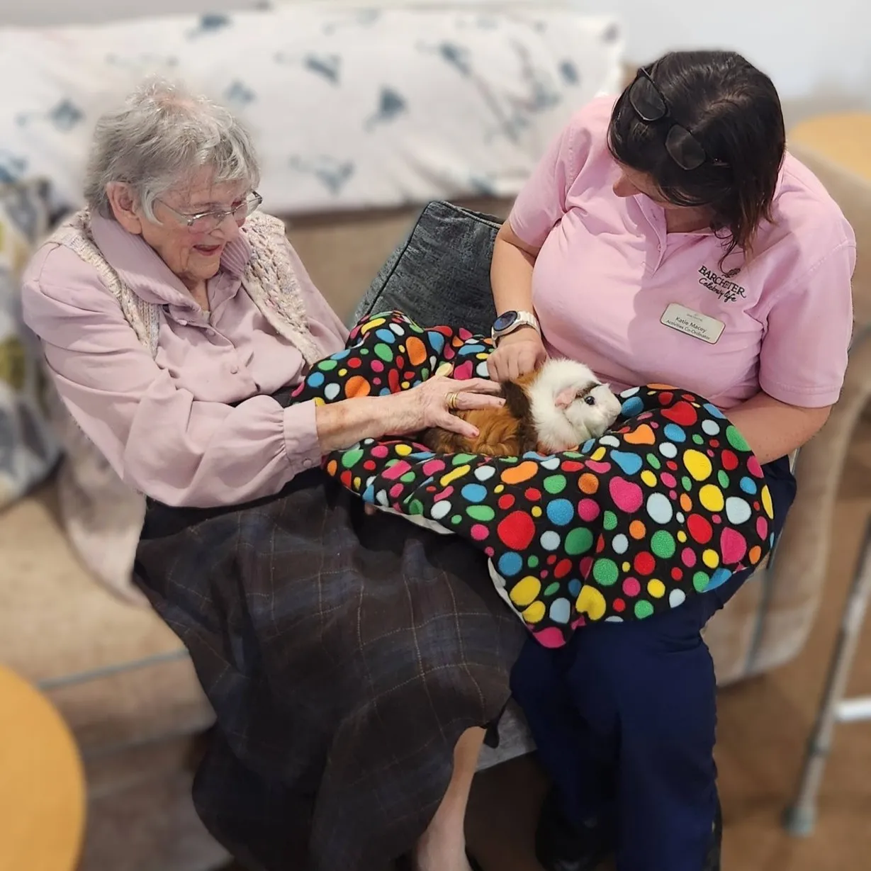 Animal Therapy 