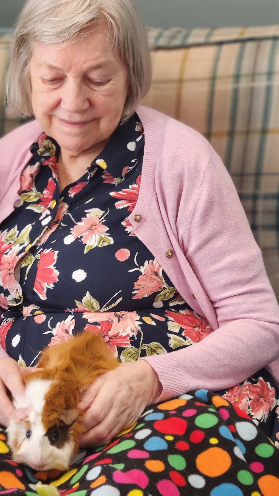 Animal Therapy 