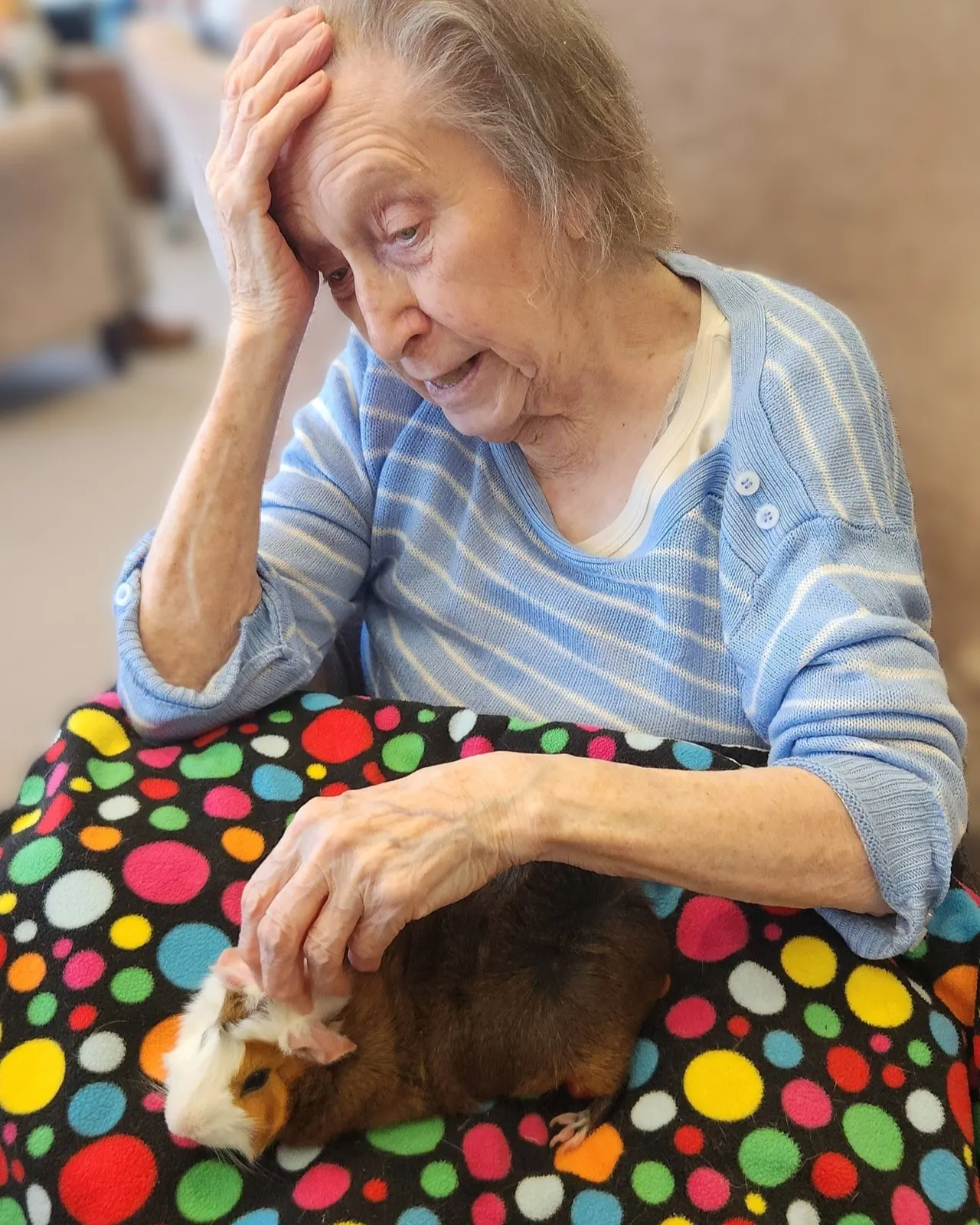 Animal Therapy 