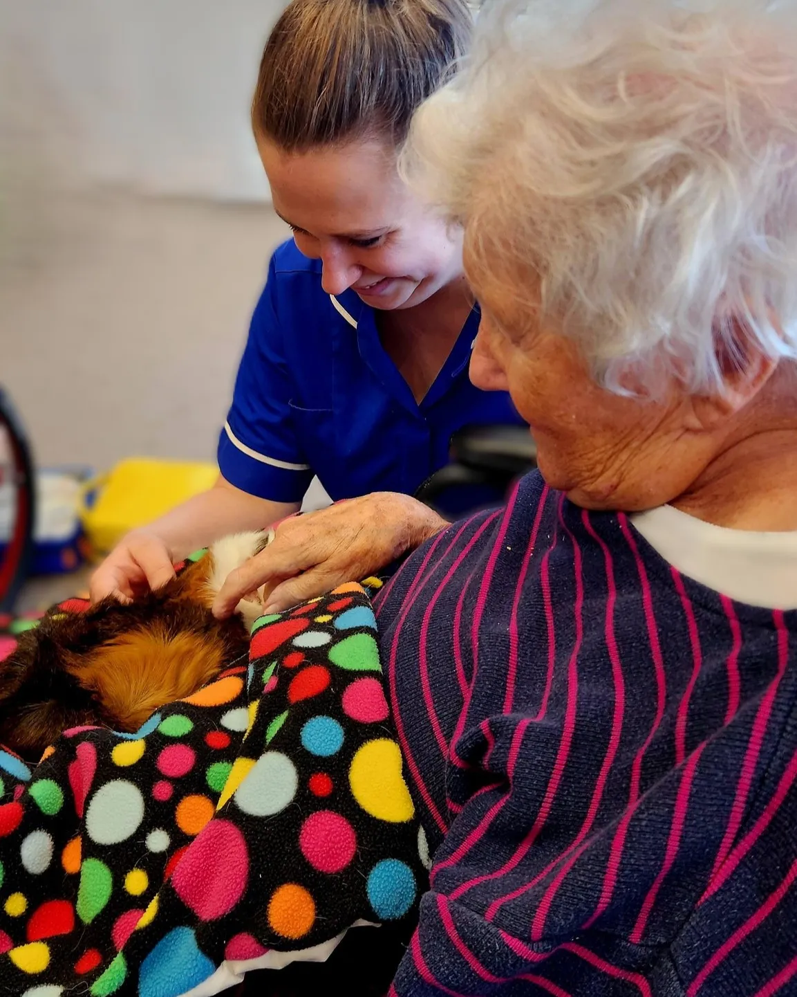 Animal Therapy 
