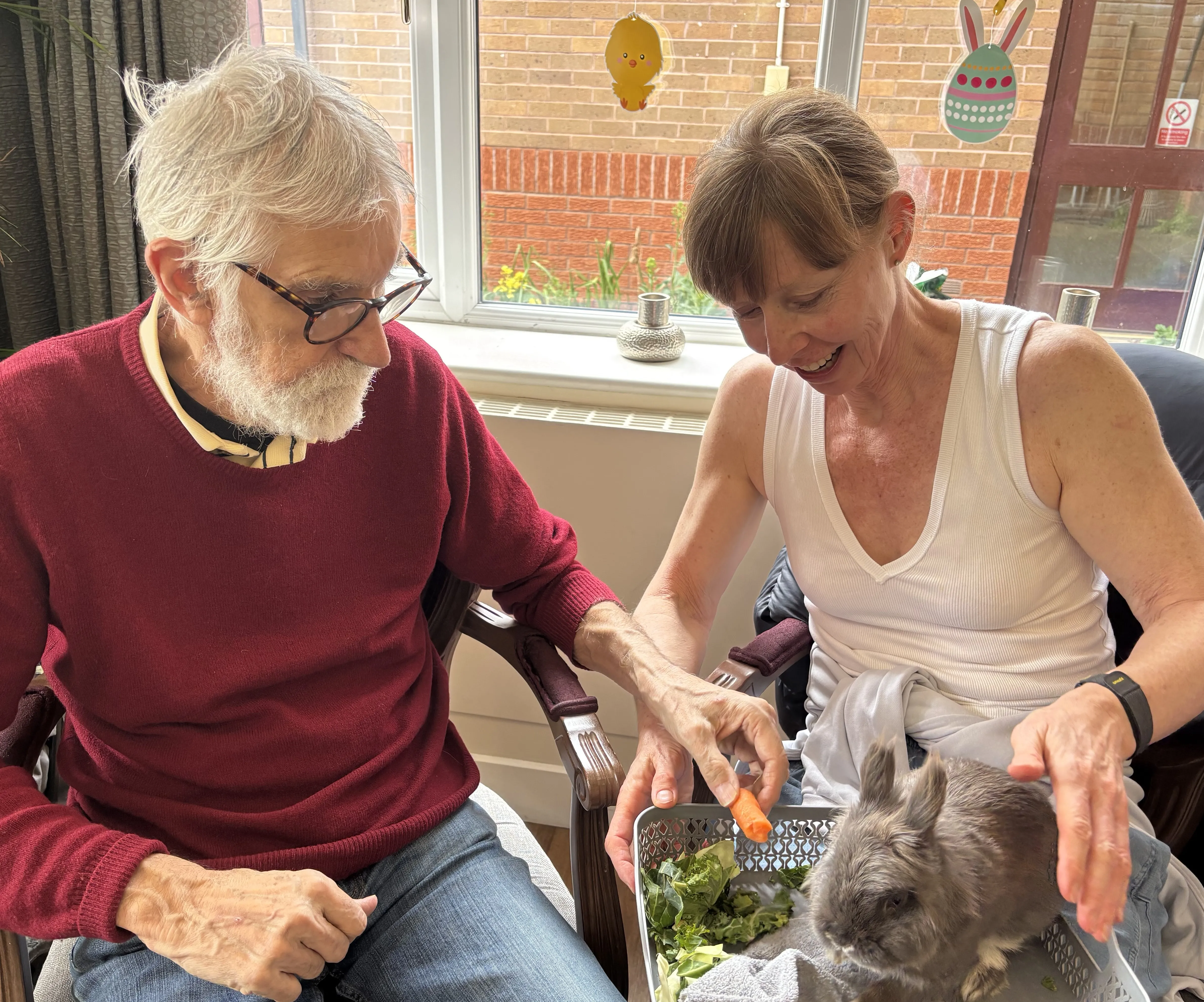 Animals visit Atfield House