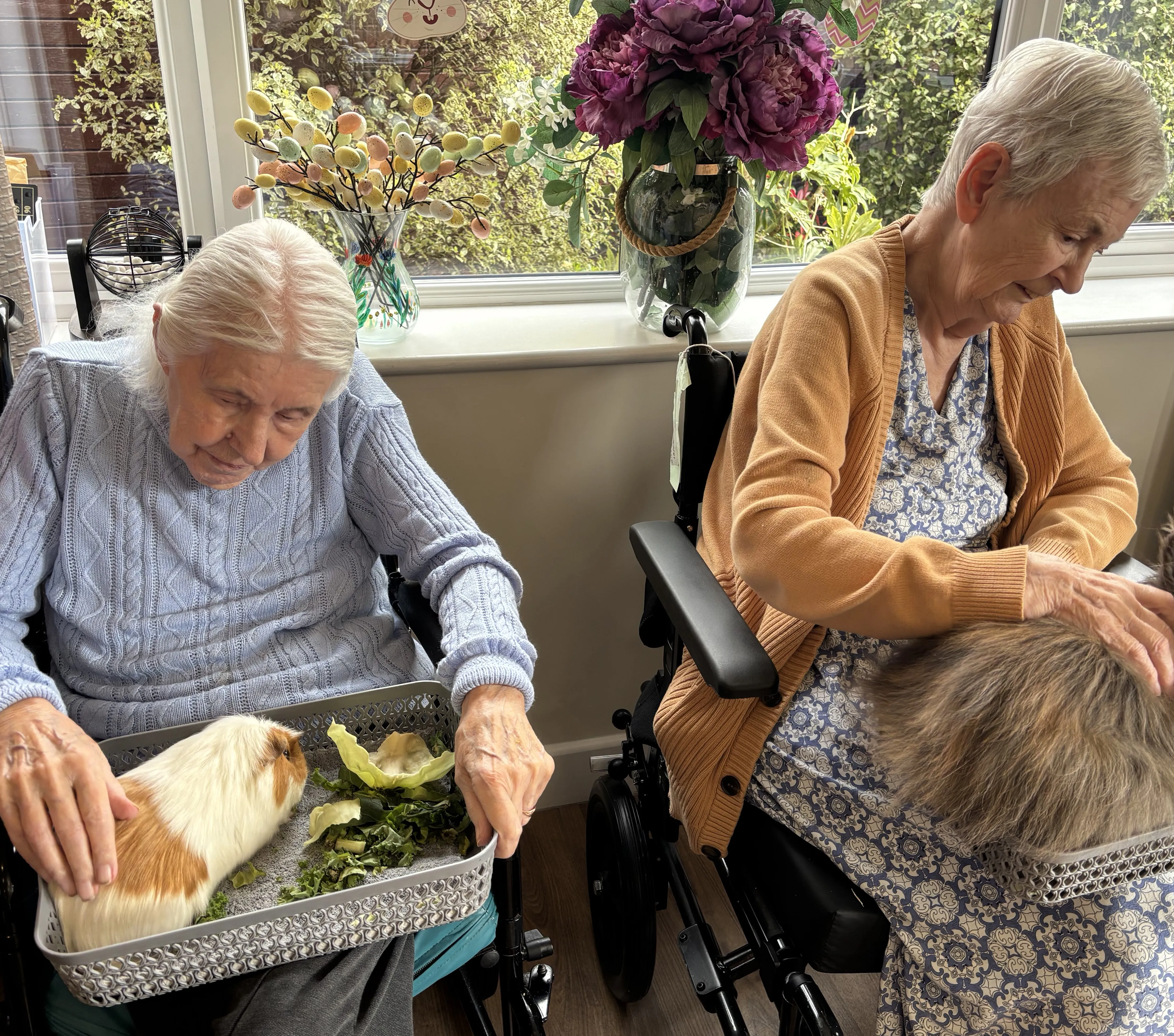Animals visit Atfield House