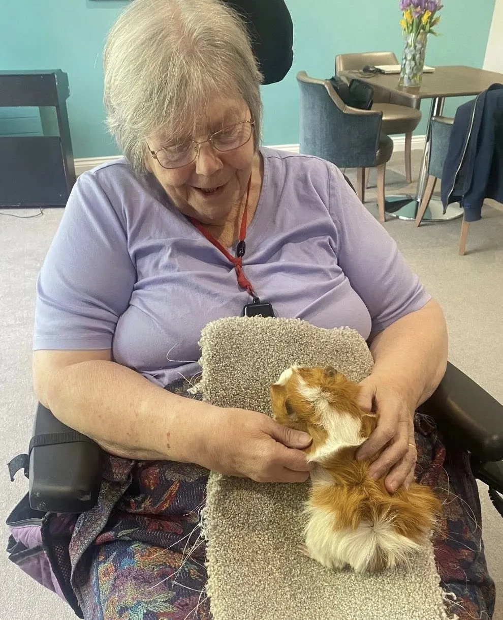 Fiona's Farm Therapy 