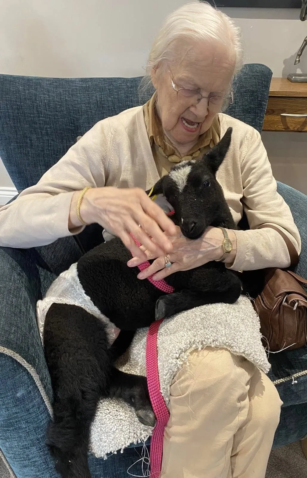 Fiona's Farm Therapy 