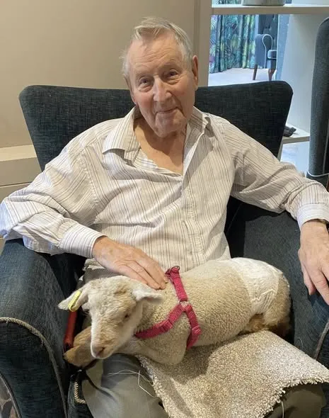 Fiona's Farm Therapy 