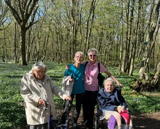 Visit to Bluebell Woods