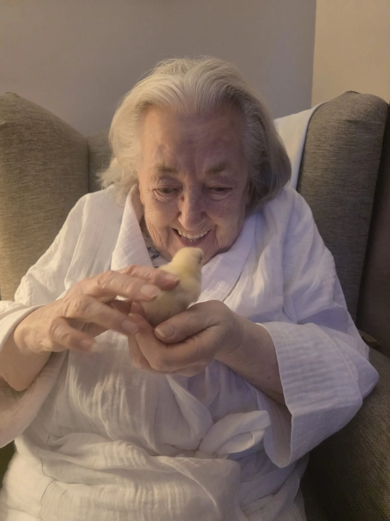 Chick Watch