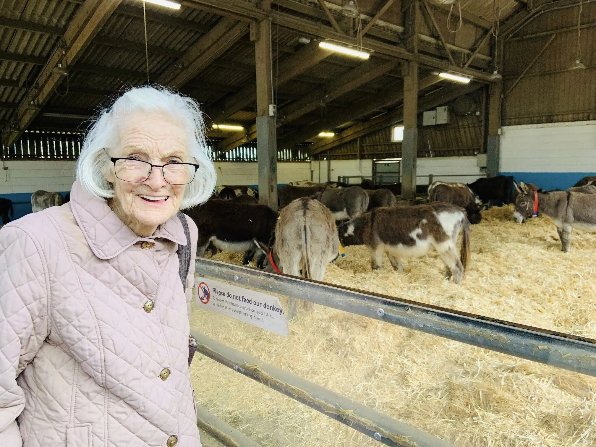 Donkey Sanctuary Visit