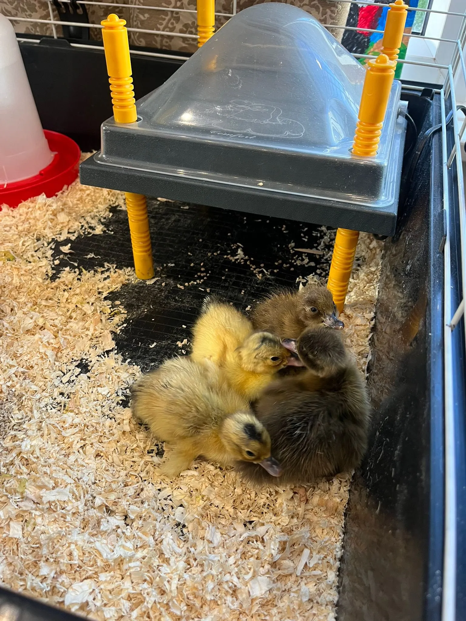 OUR NEW RESIDENTS!