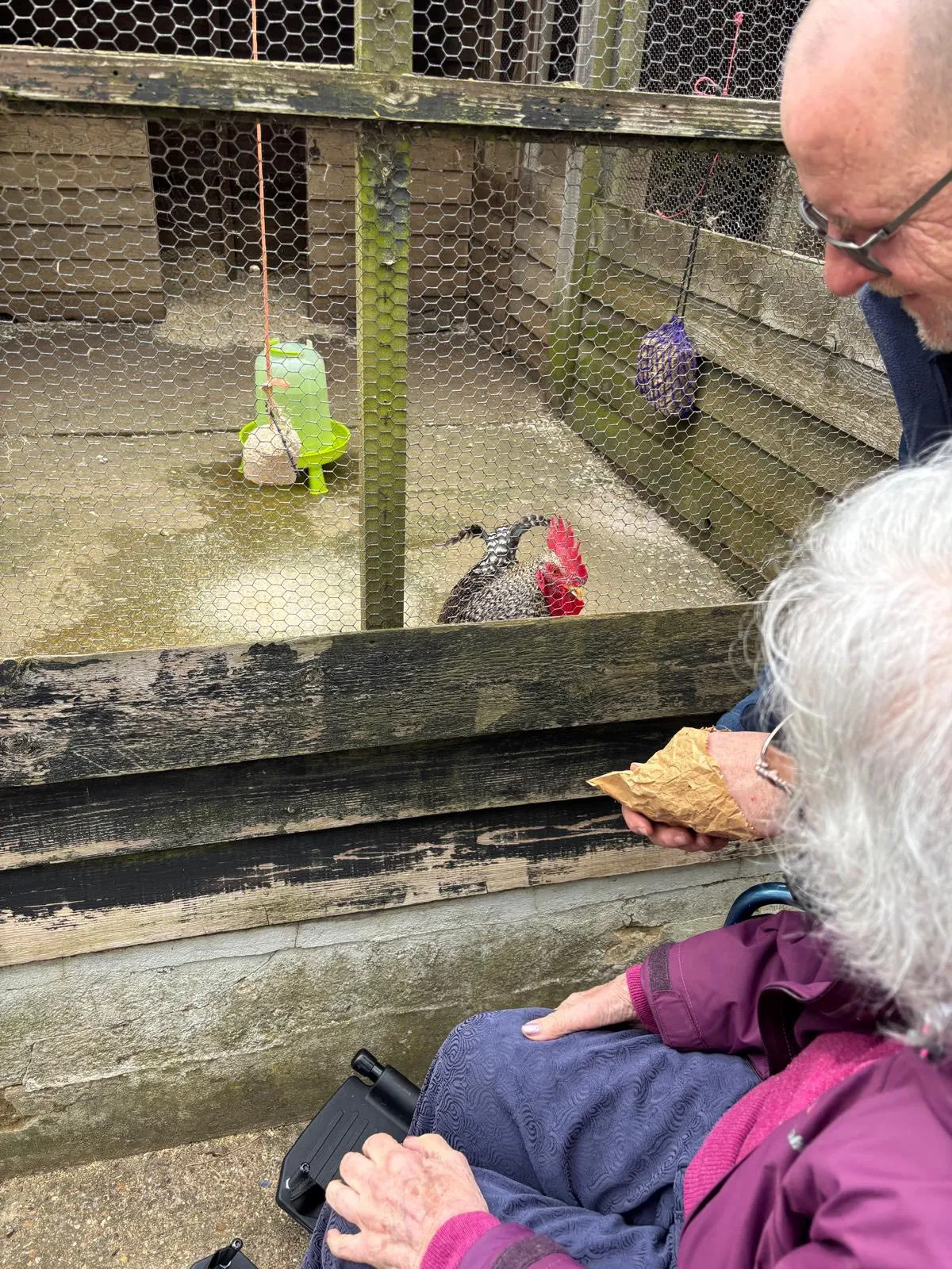 Easter Visit To Standalone Farm