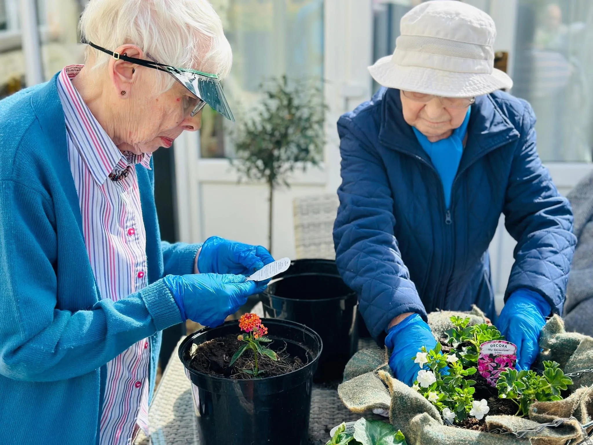National Gardening Day