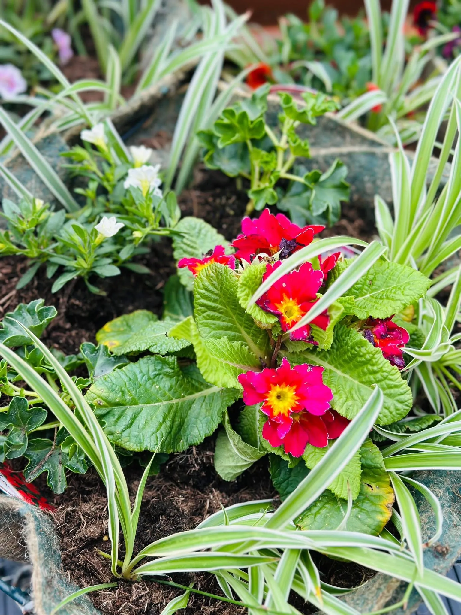 National Gardening Day