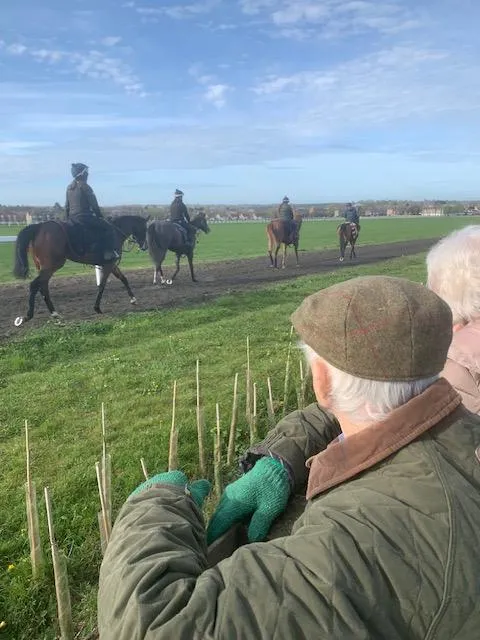 Peter's day out