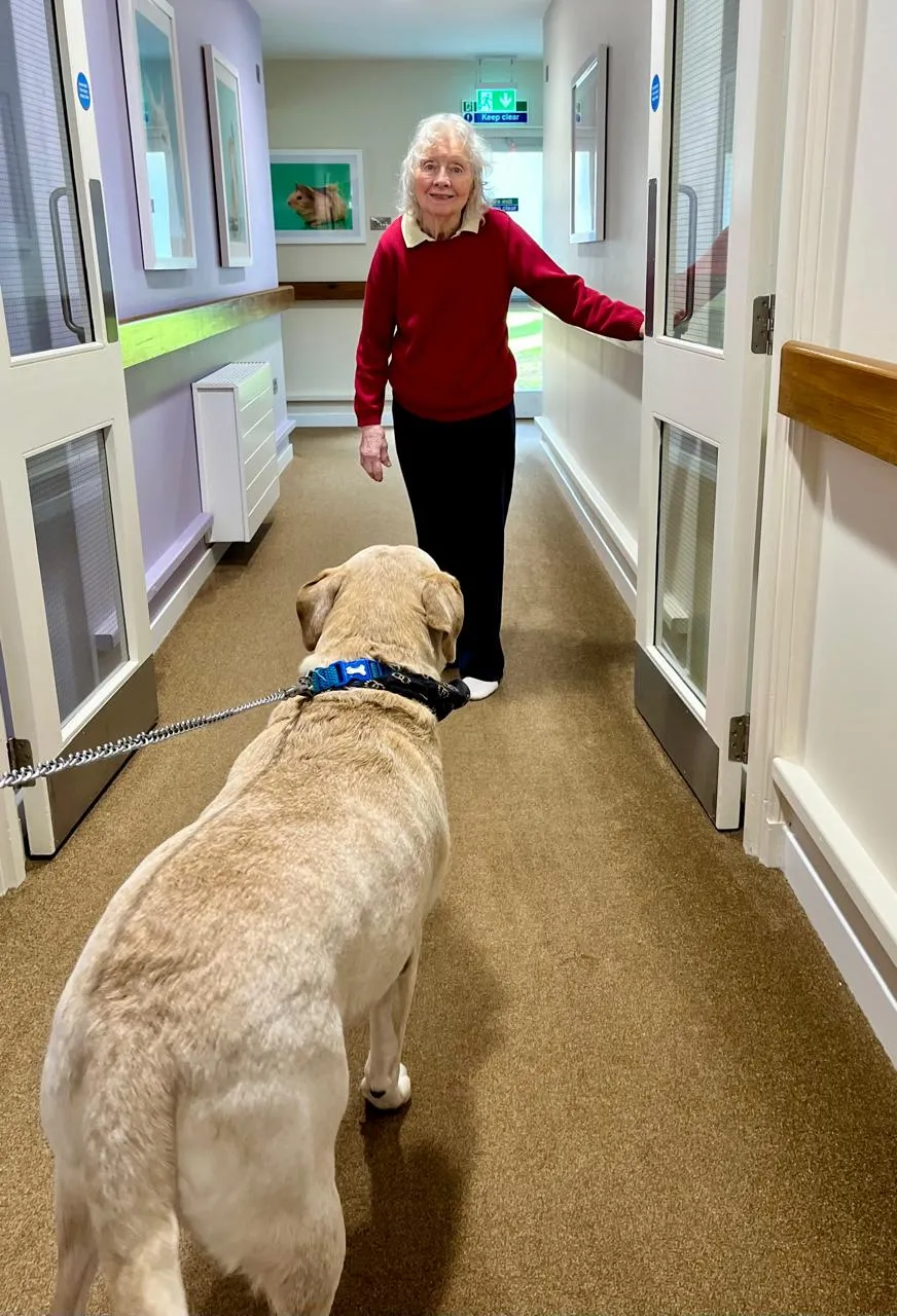 Therapy dog visit 