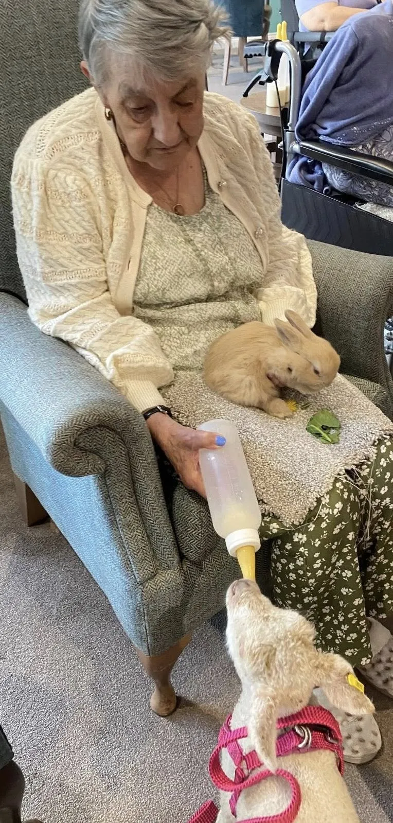 Fiona's Farm Therapy 