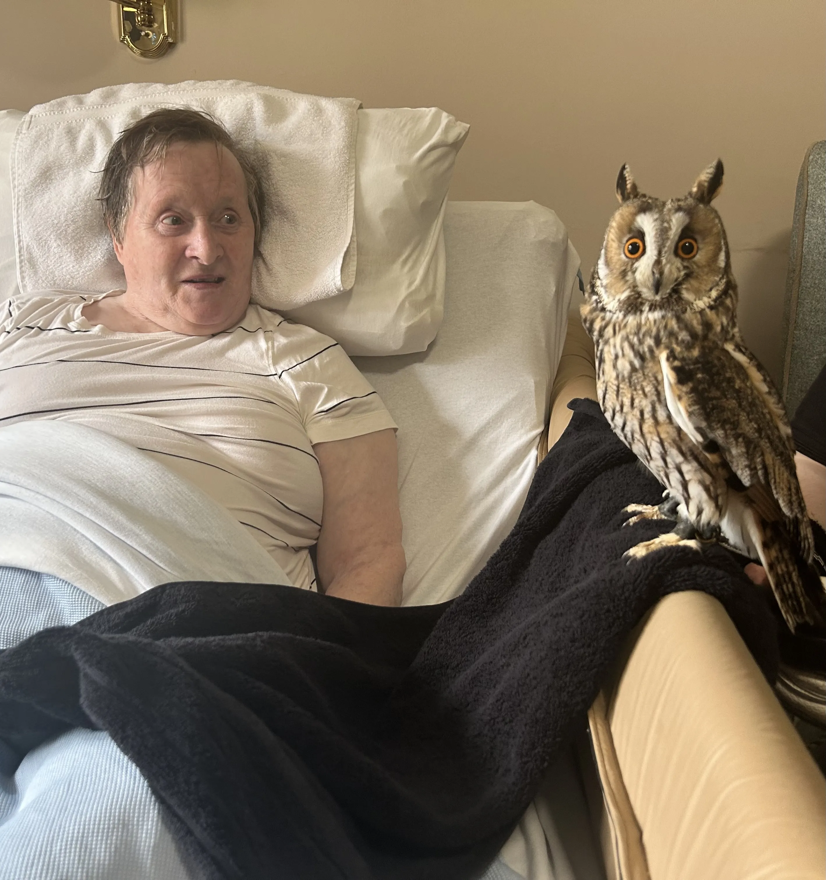 Special visitors 