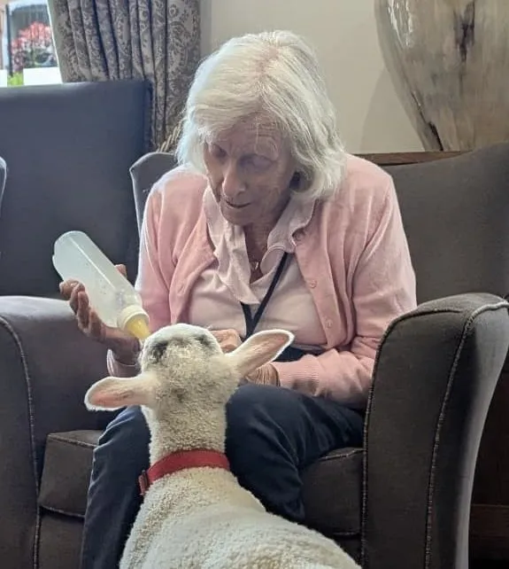 Special Visitors 