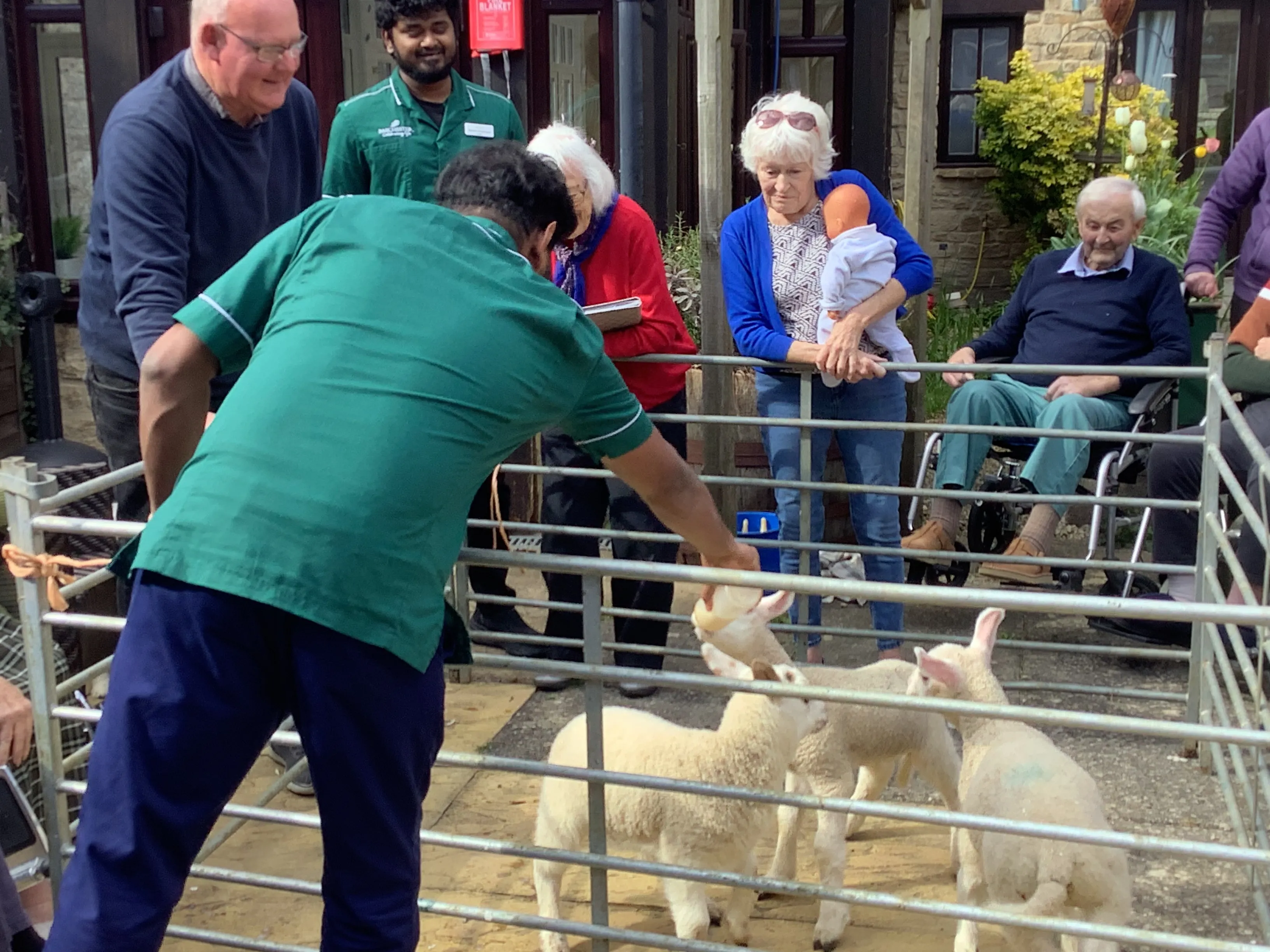 A joyful visit from some woolly guests