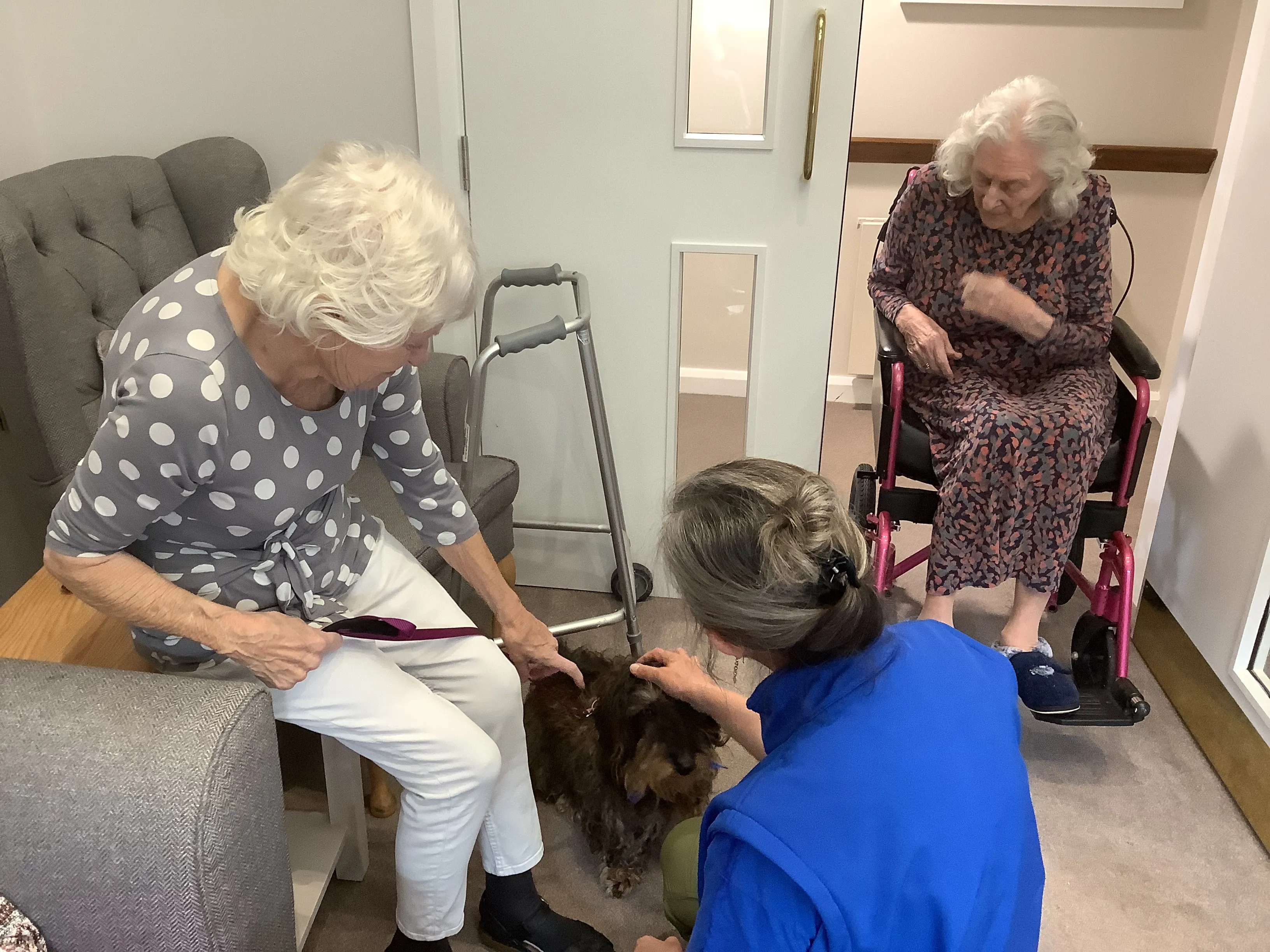 A Paws-itively Wonderful First Visit!