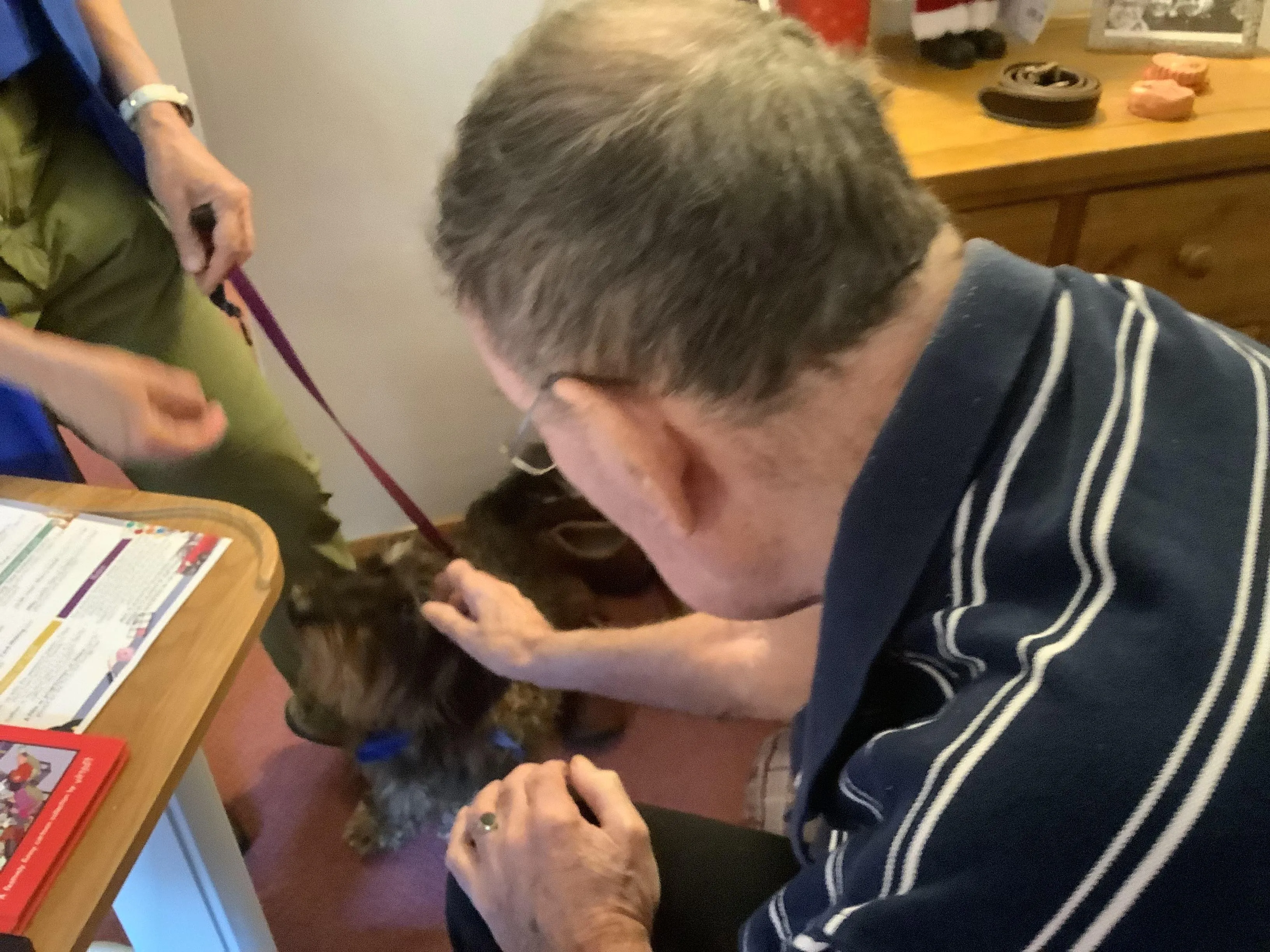 A Paws-itively Wonderful First Visit!