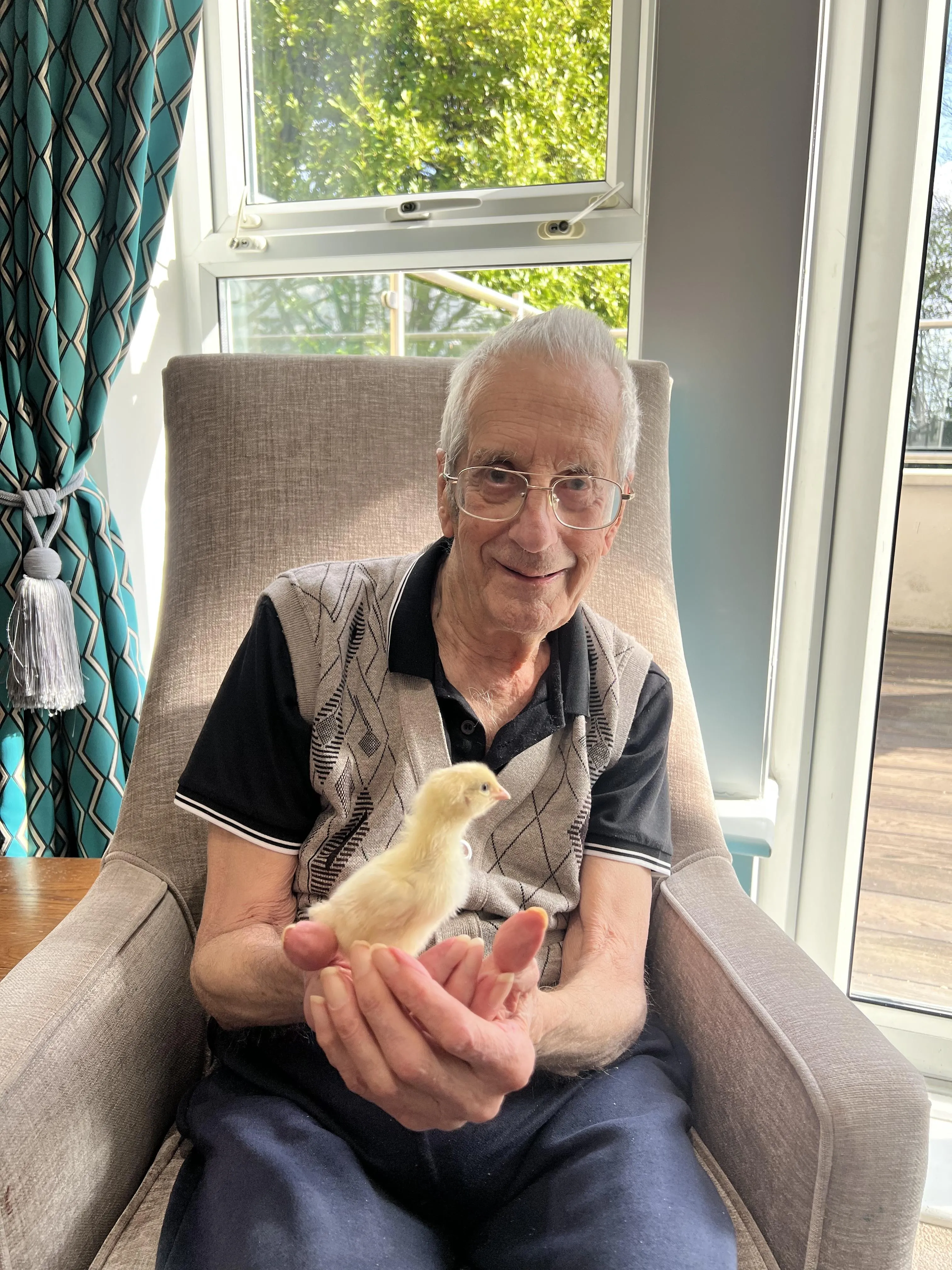 Chicks at Cookridge Court