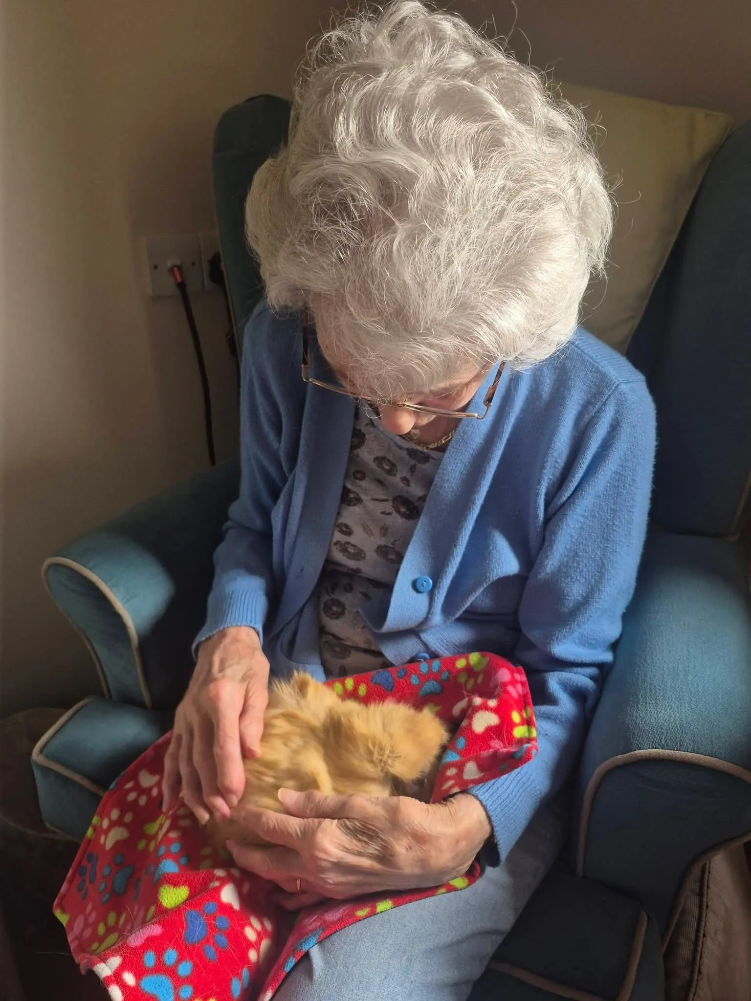 Animal therapy