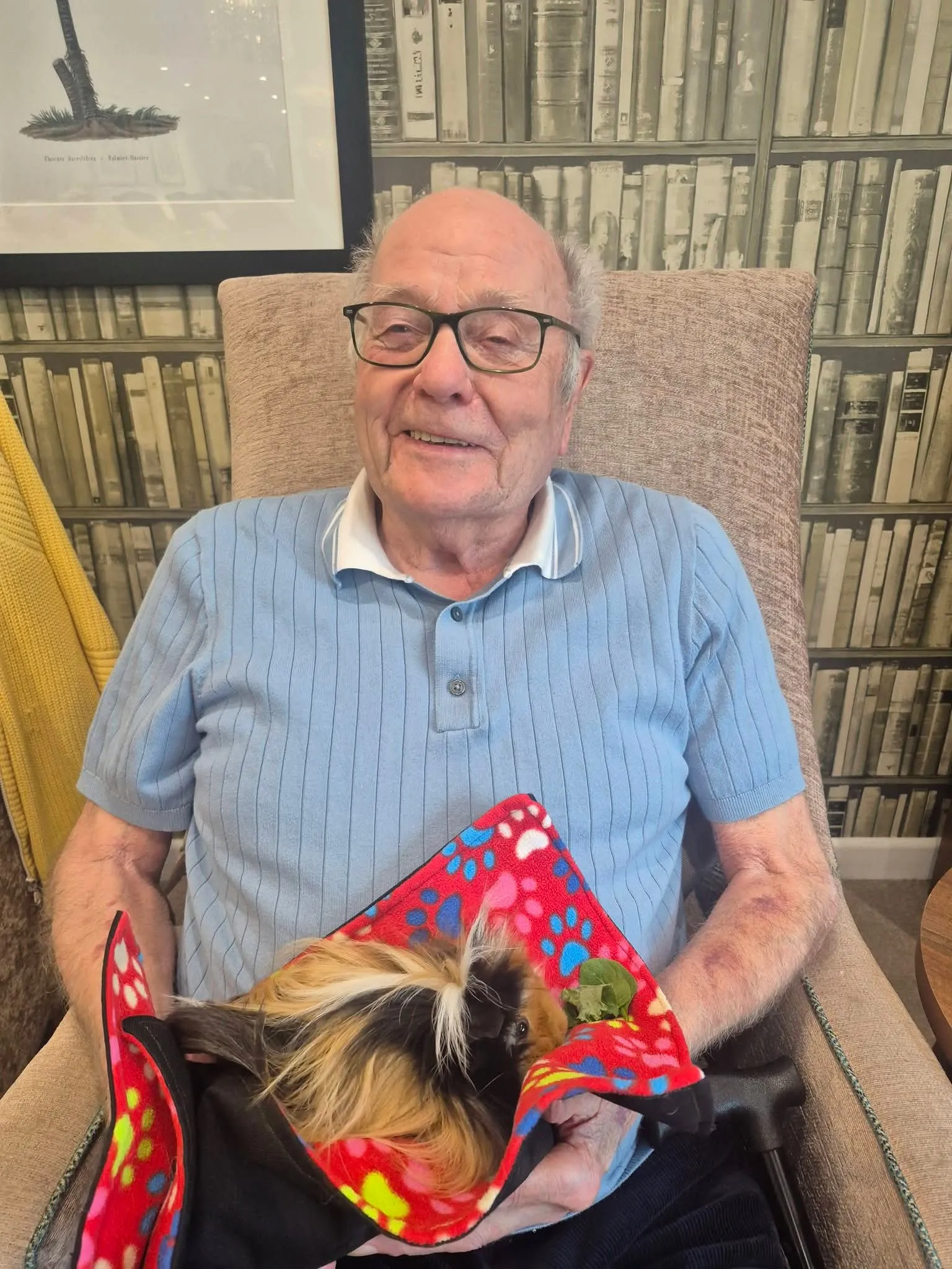 Animal therapy