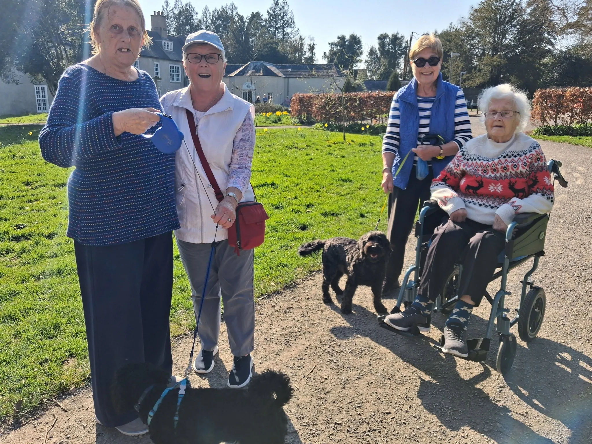 A sunny afternoon out