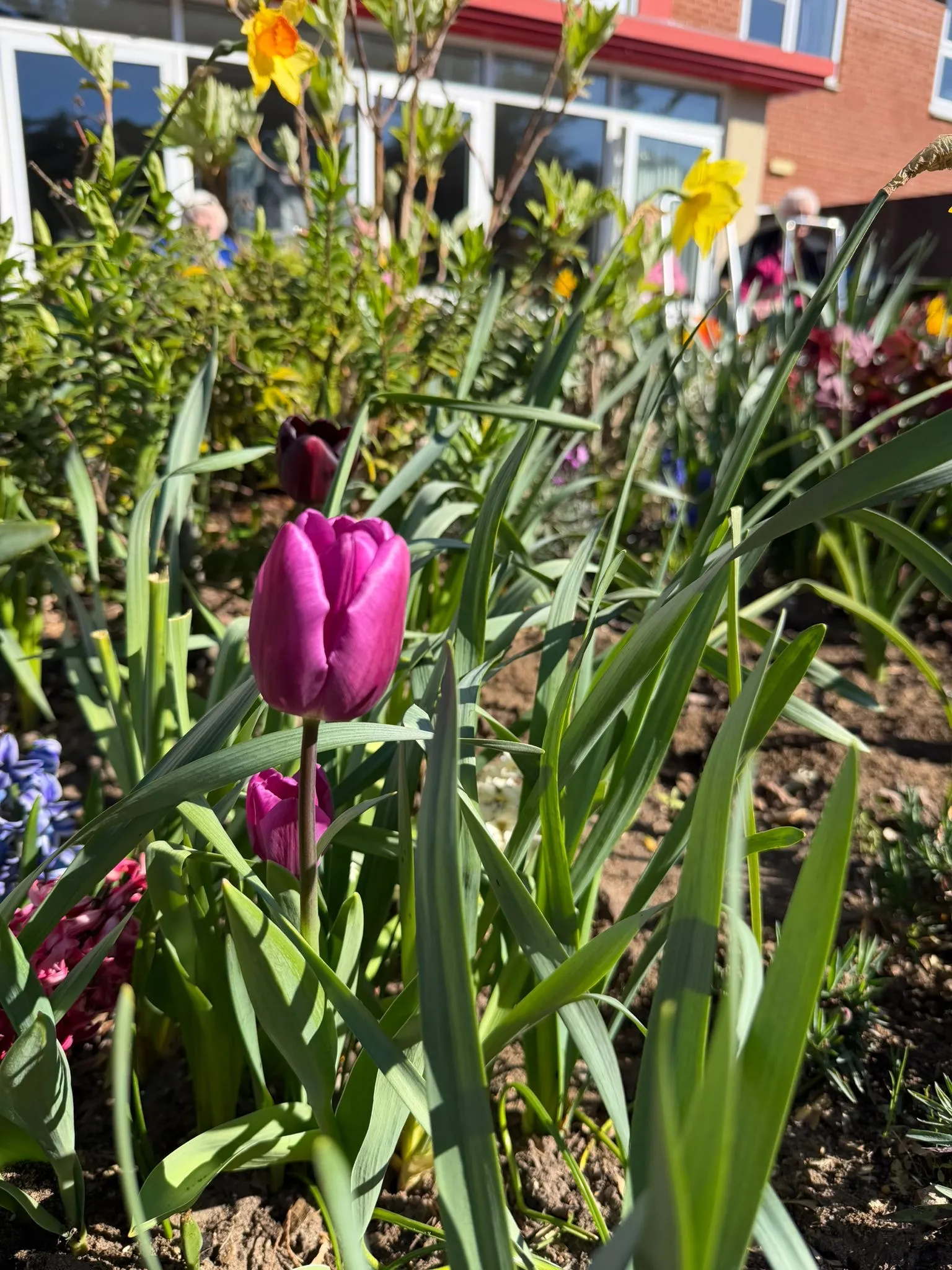 Enjoying the spring sunshine