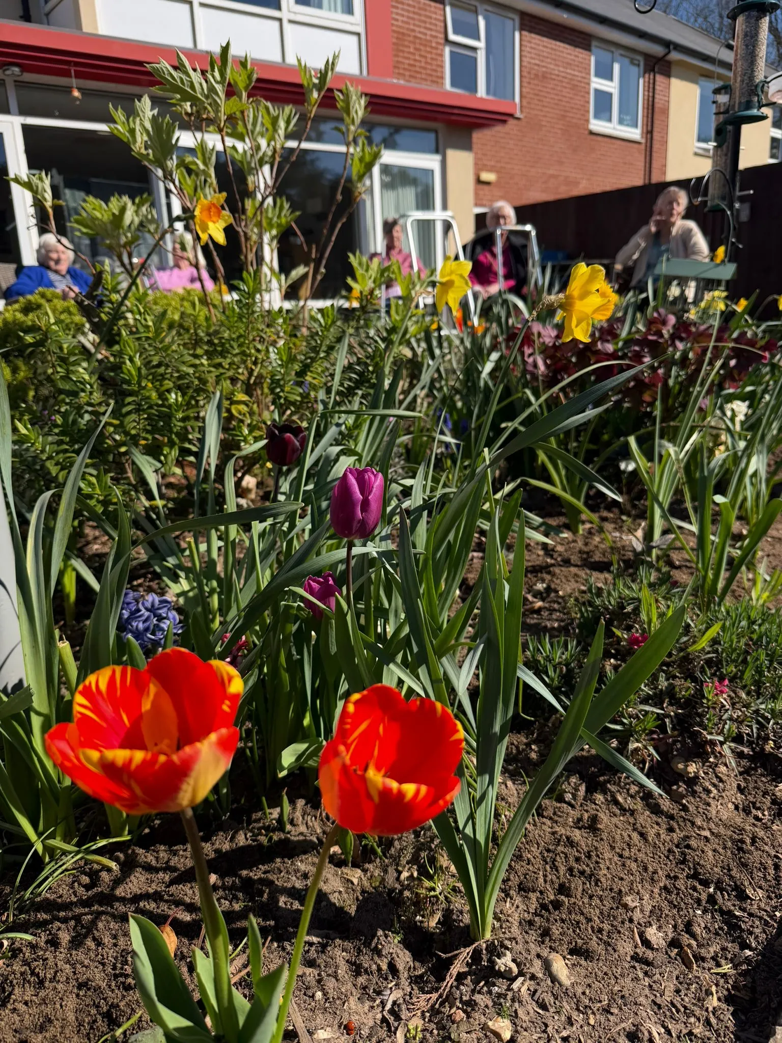 Enjoying the spring sunshine