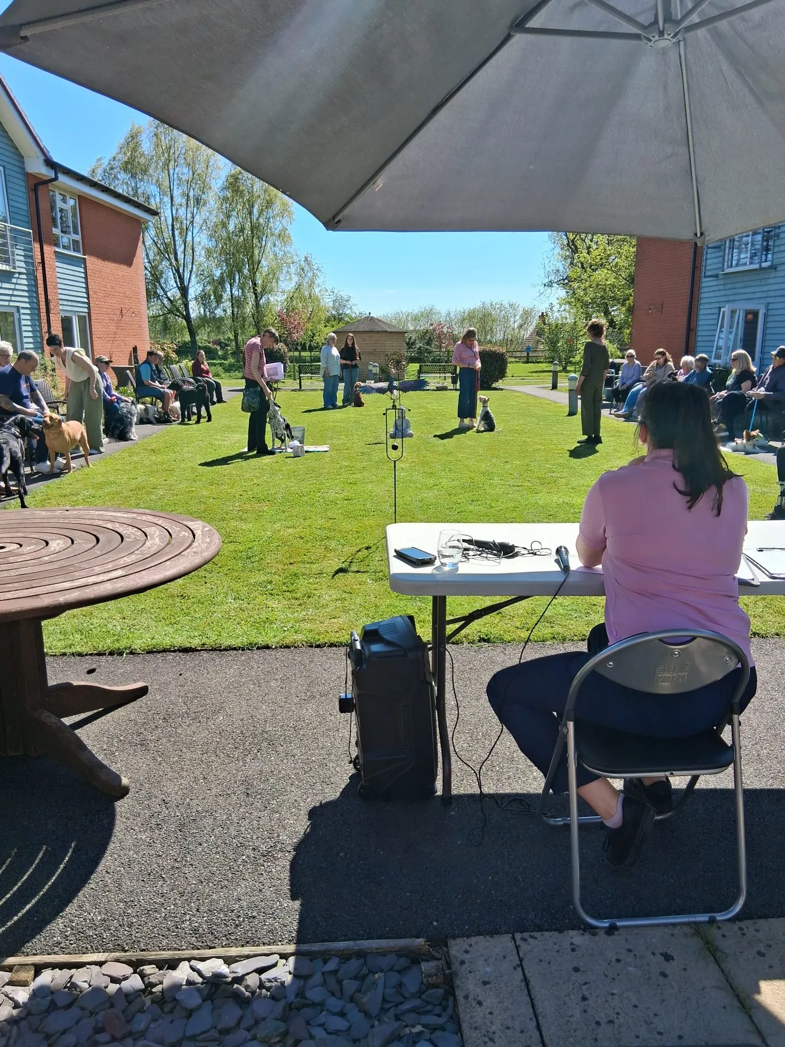 Dog Show 