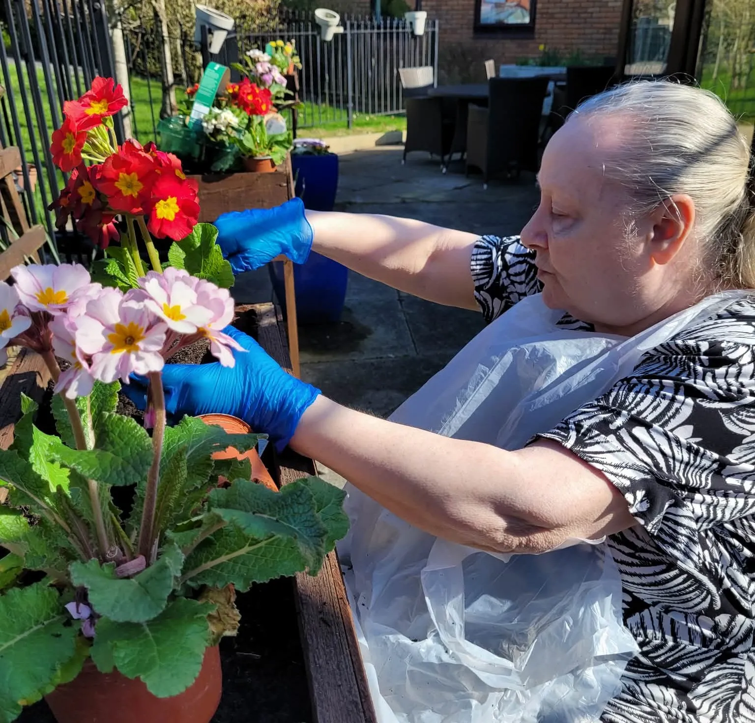 Gardening fun