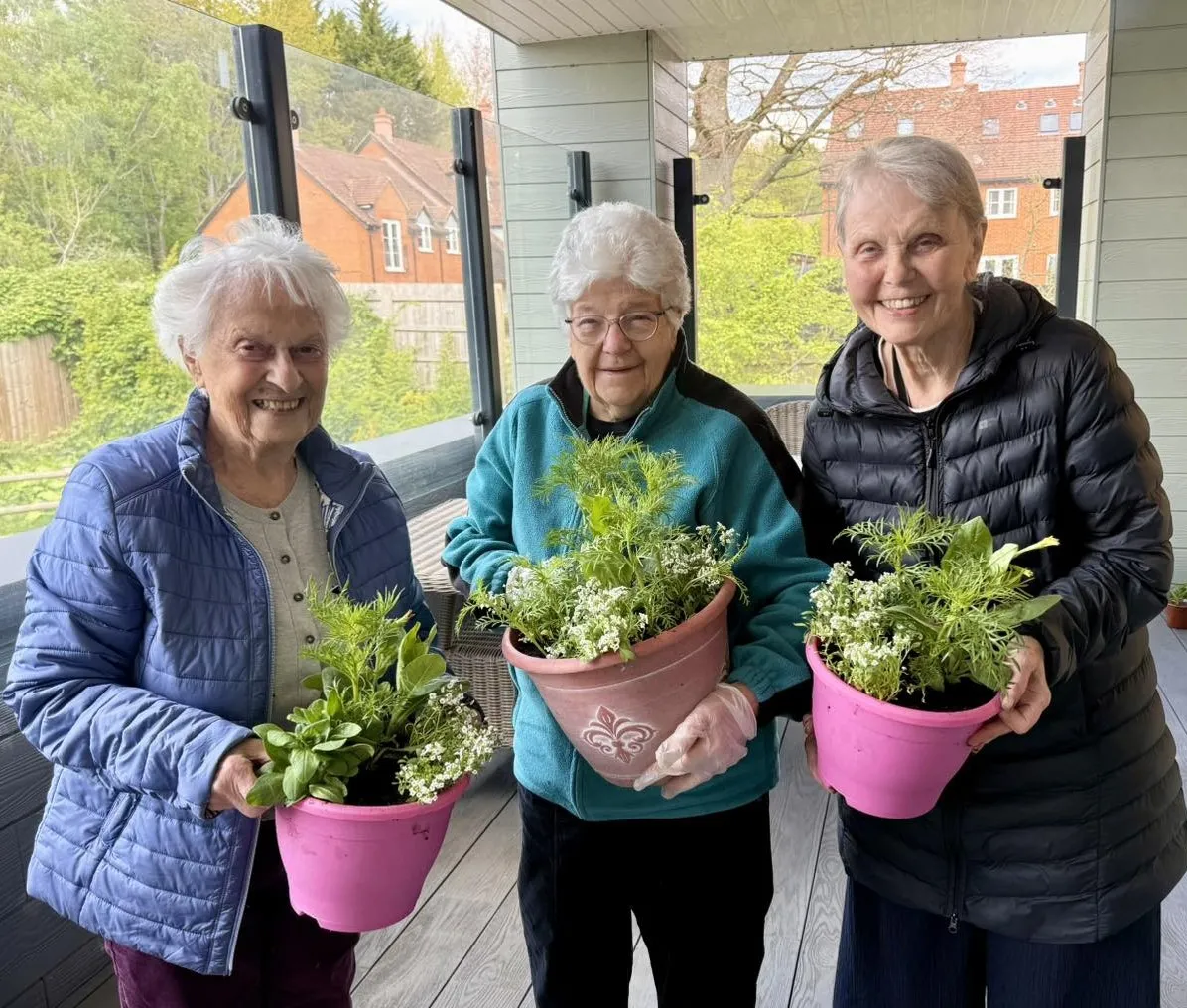 Spring time in the gardens 