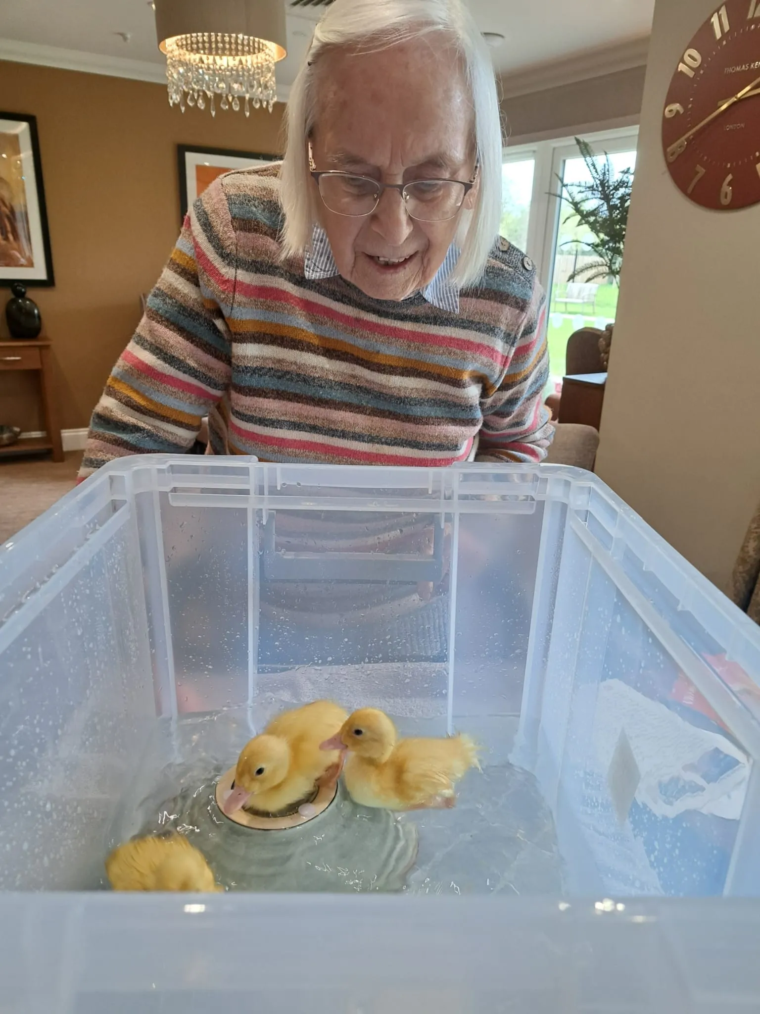 Duckling Bath Time Brings Joy To Our Home!