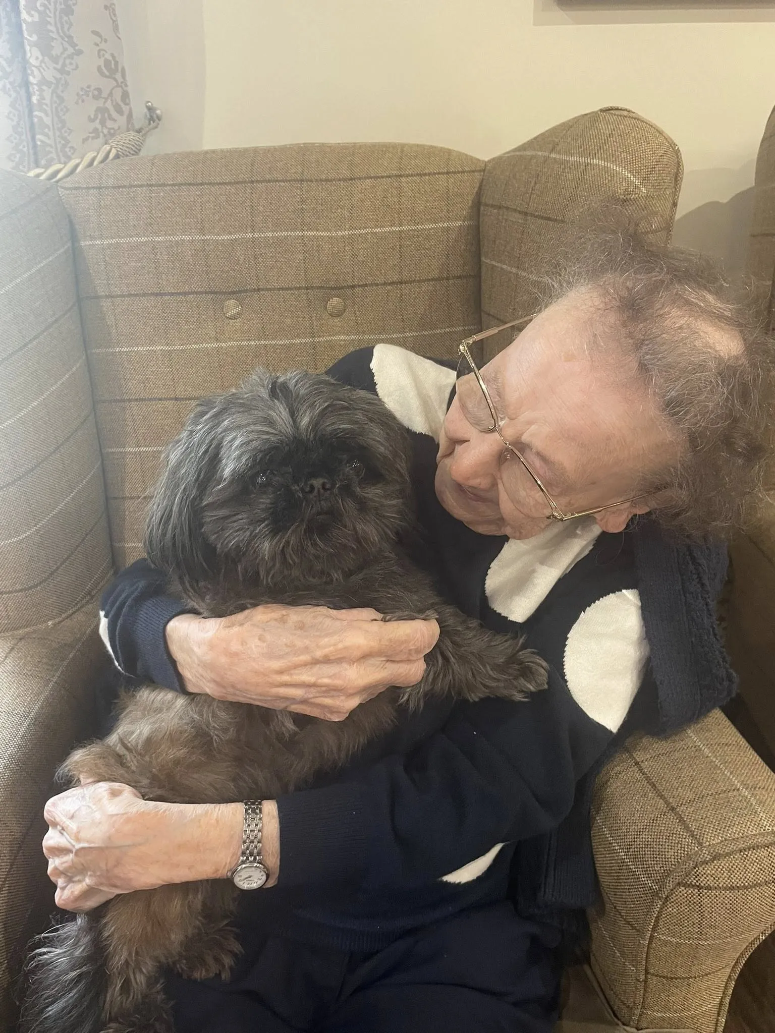 Dog visit