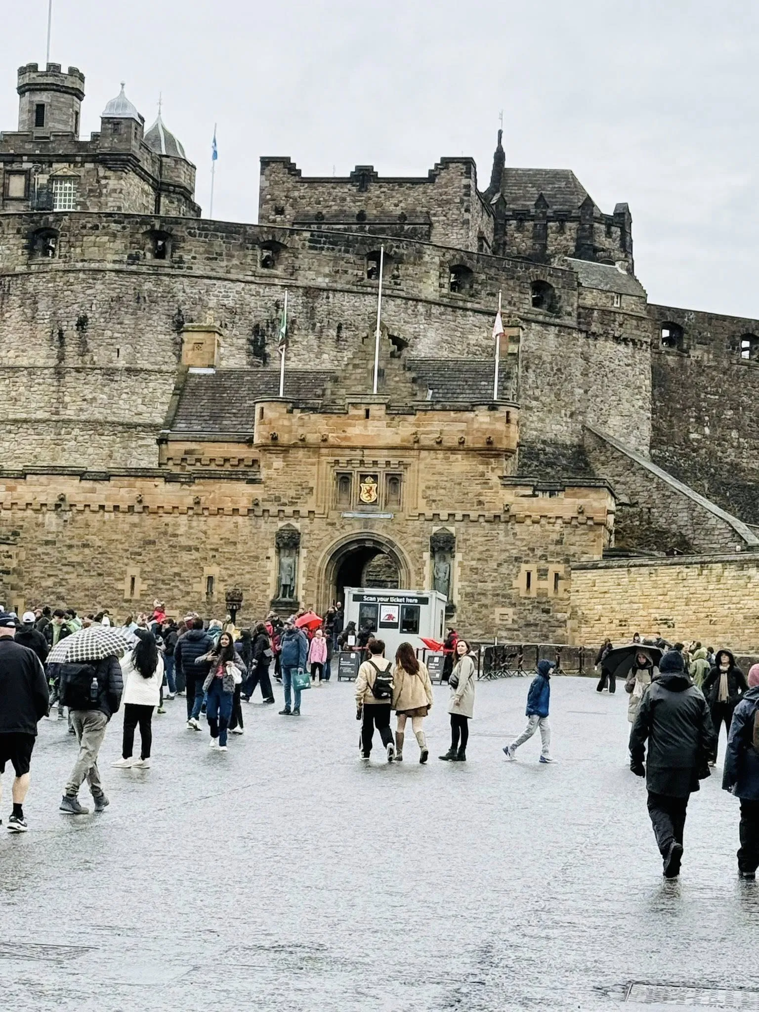Mystery Trip