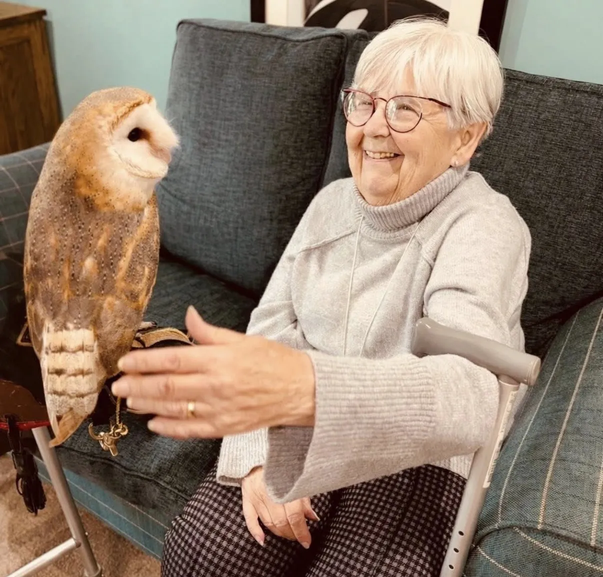 Owl visit! 