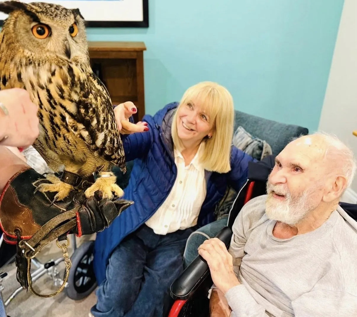 Owl visit! 