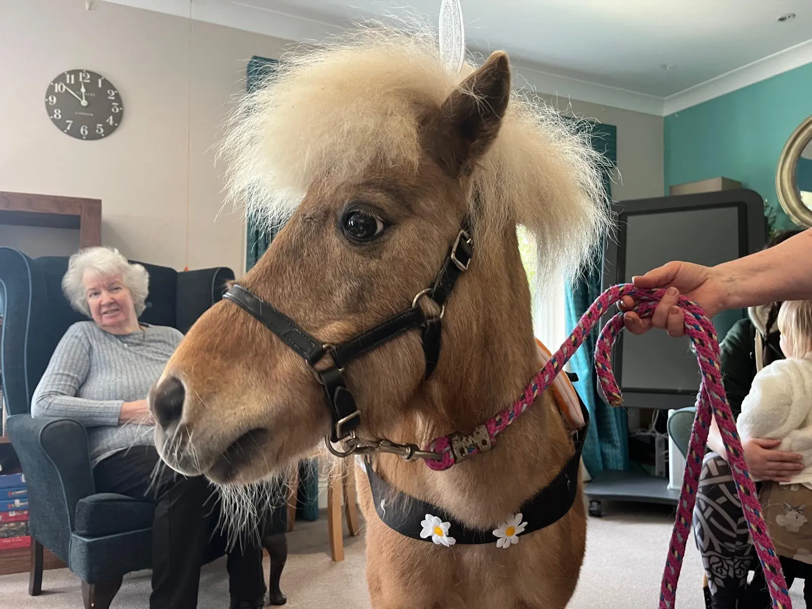 A Heart-warming Easter Visit from Ellie & Damson at Cherry Trees