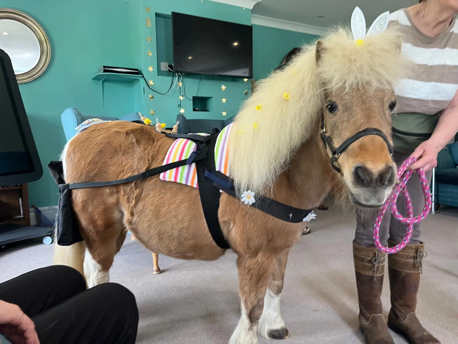 A Heart-warming Easter Visit from Ellie & Damson at Cherry Trees