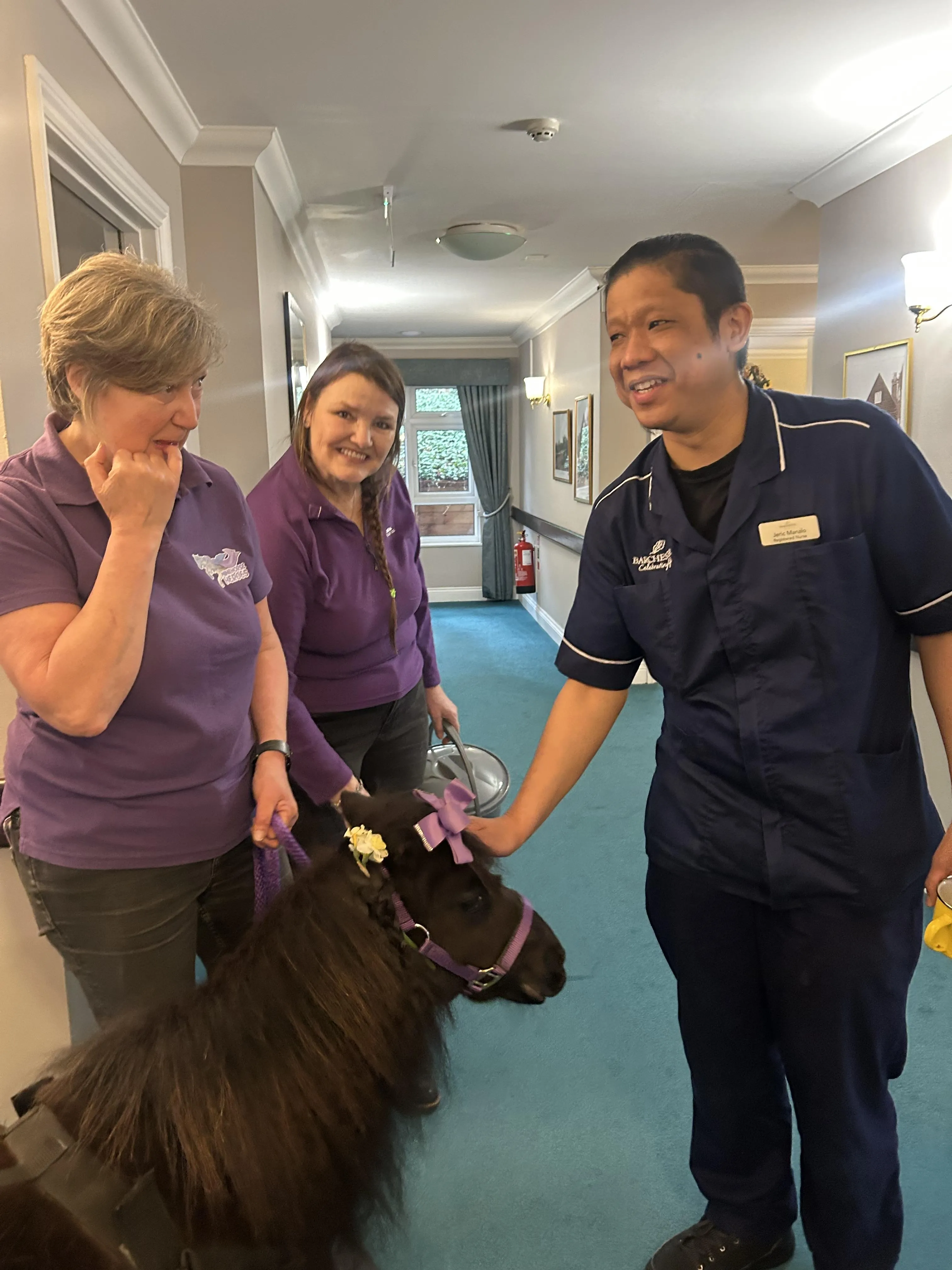 Mini horses visit! 