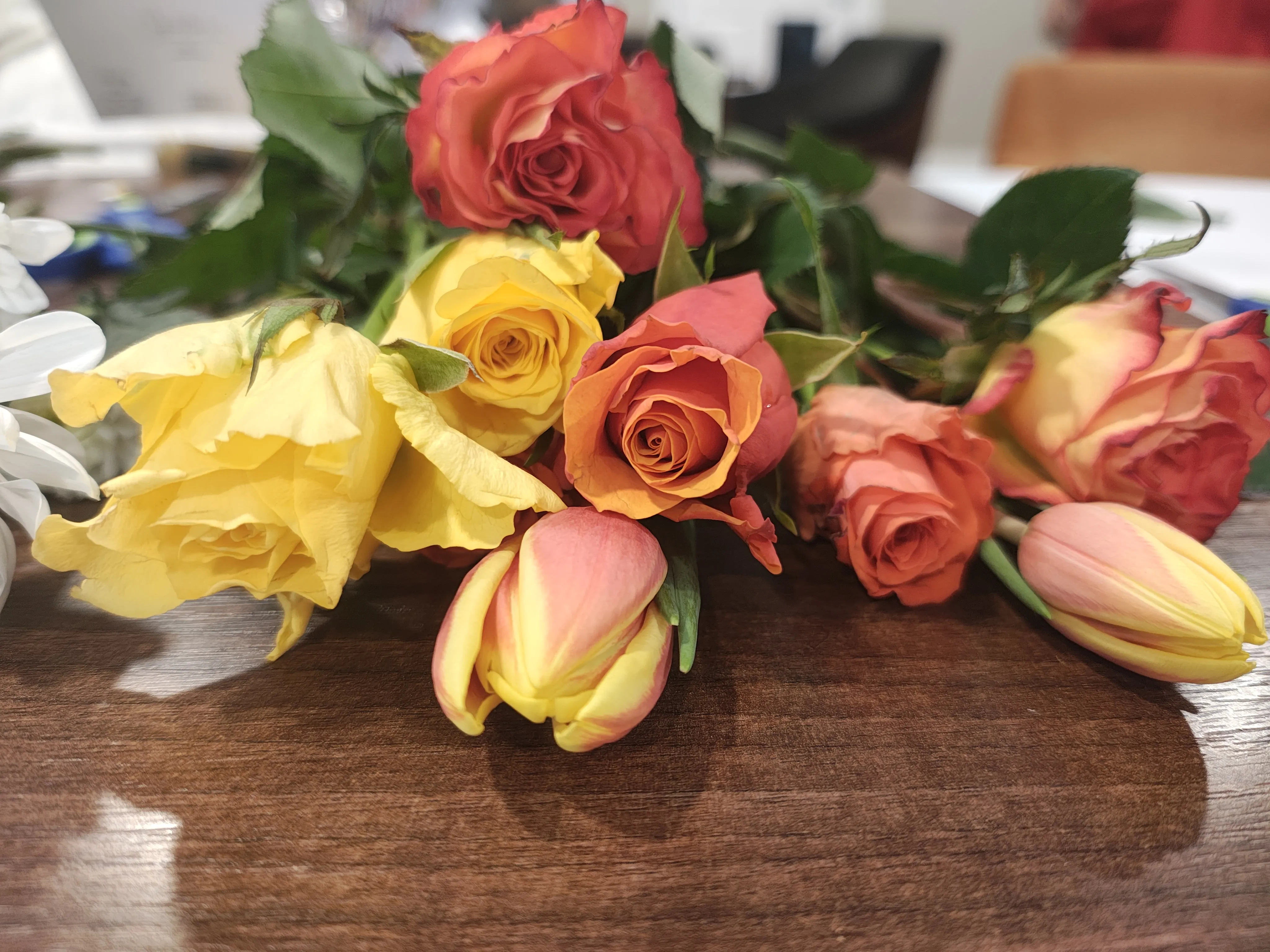 Spring has Sprung!
