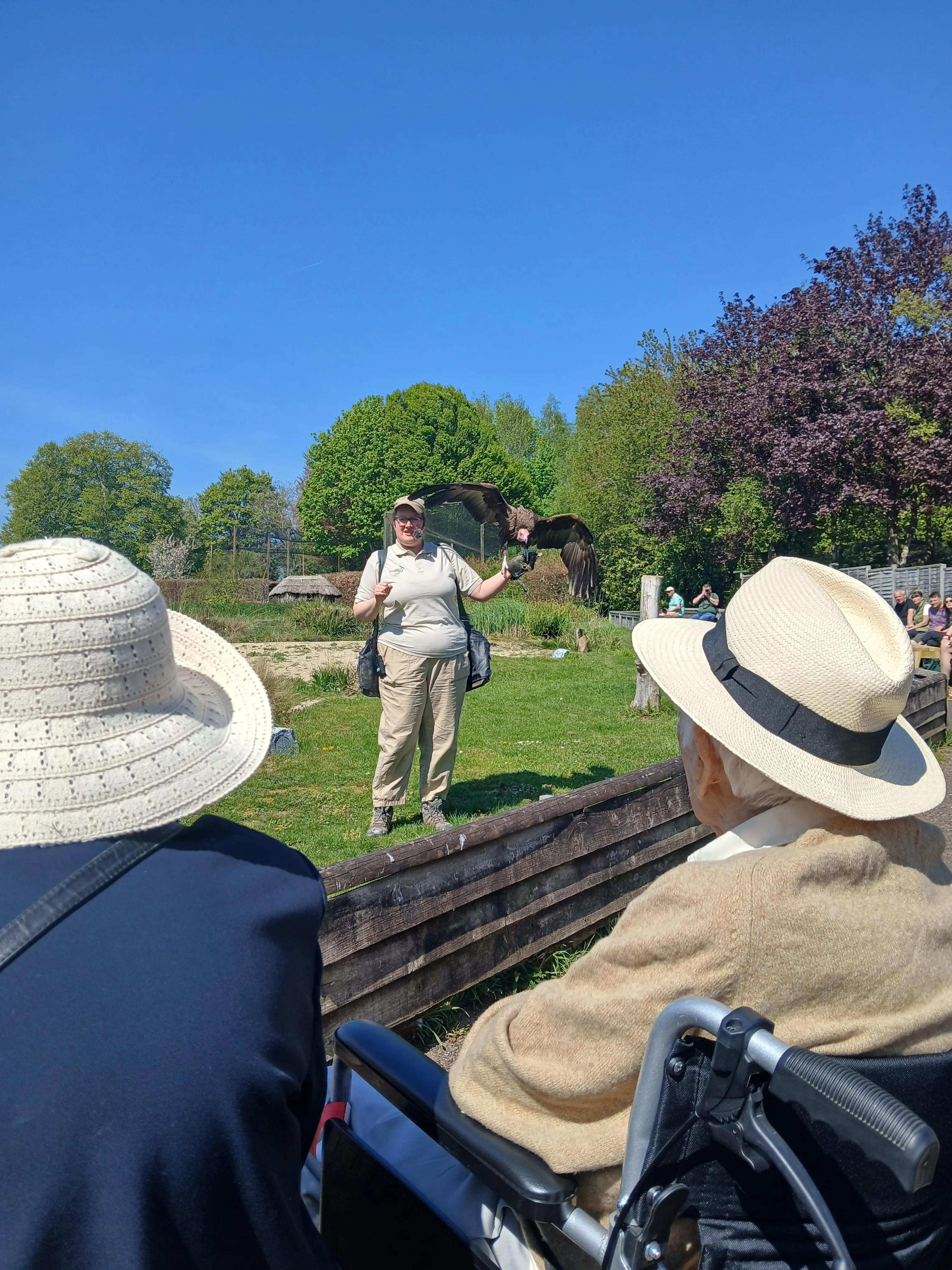 Day trip to the Hawk Conservancy