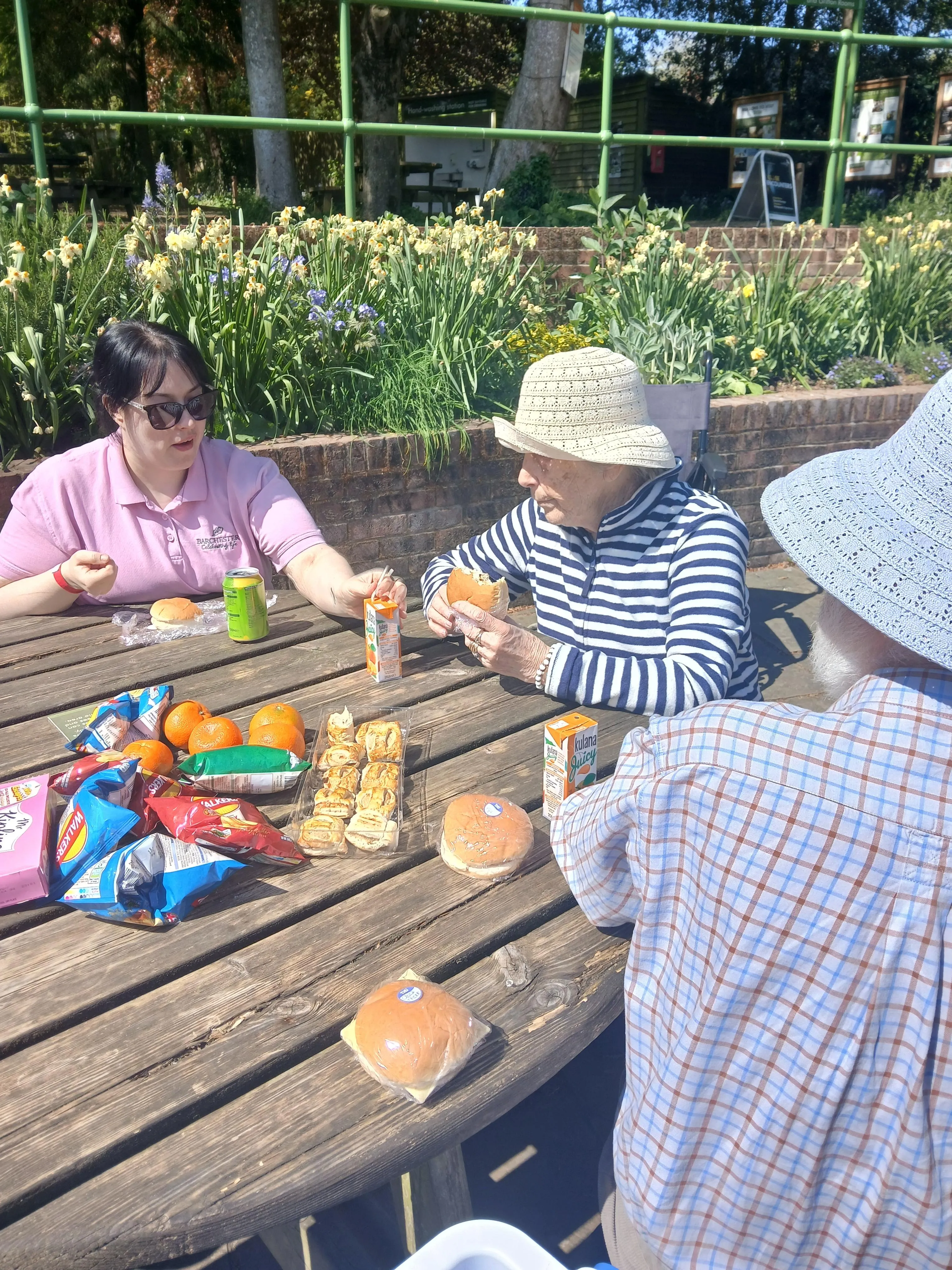 Day trip to the Hawk Conservancy