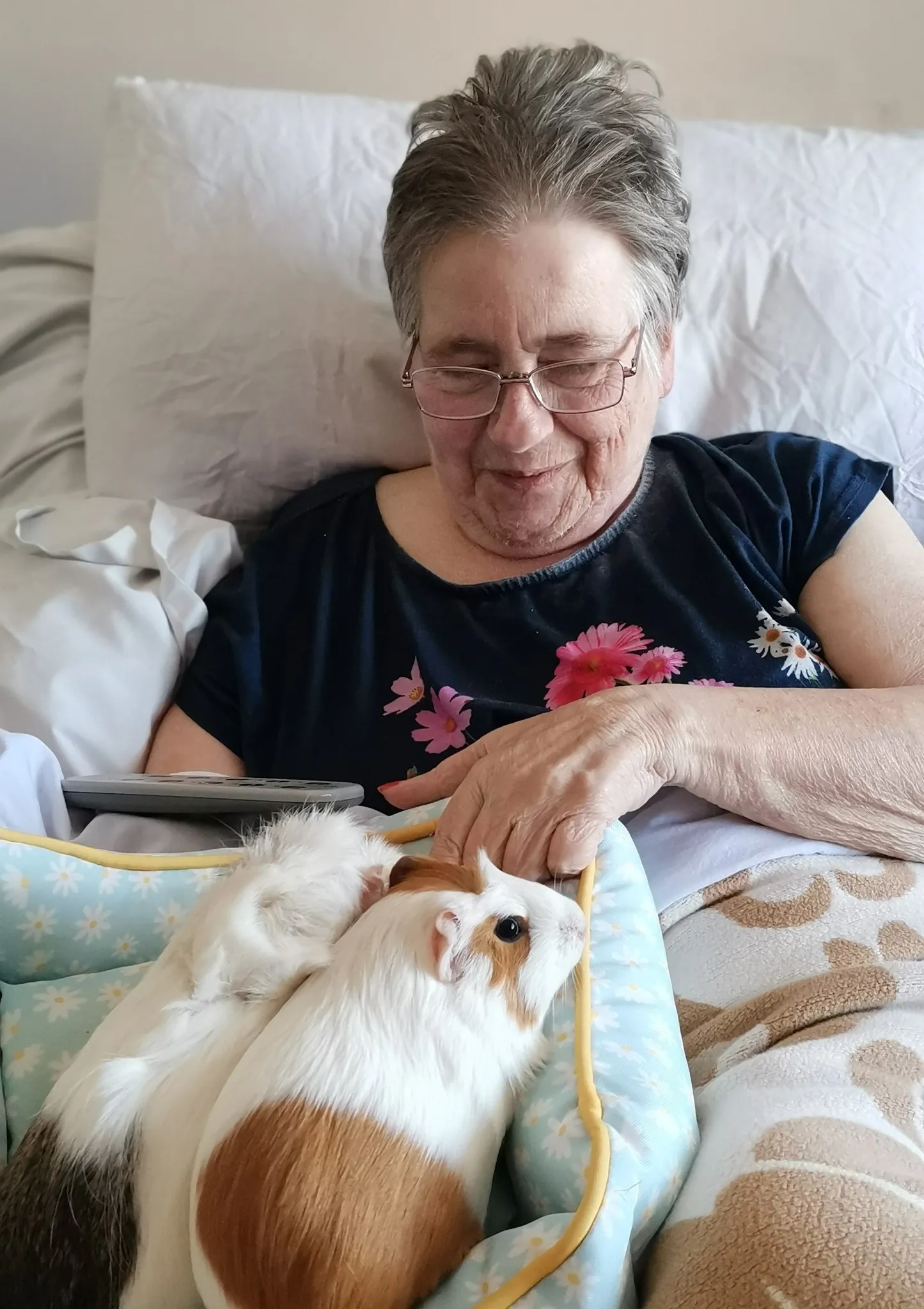 Animal therapy 