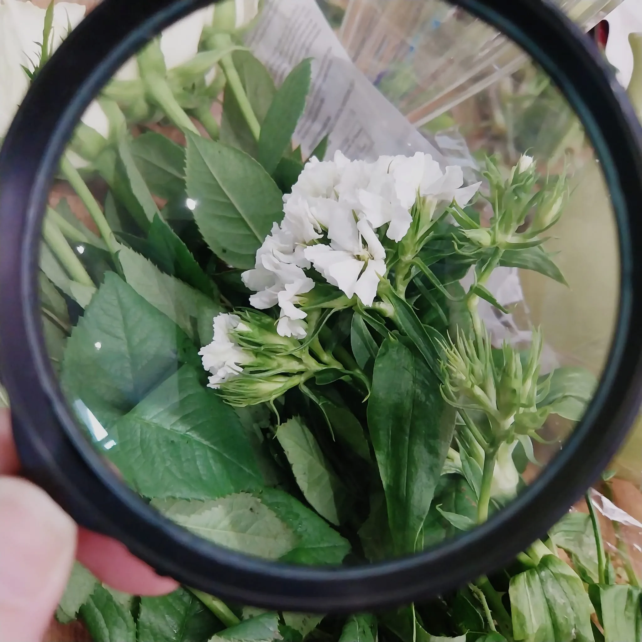 Flower arranging