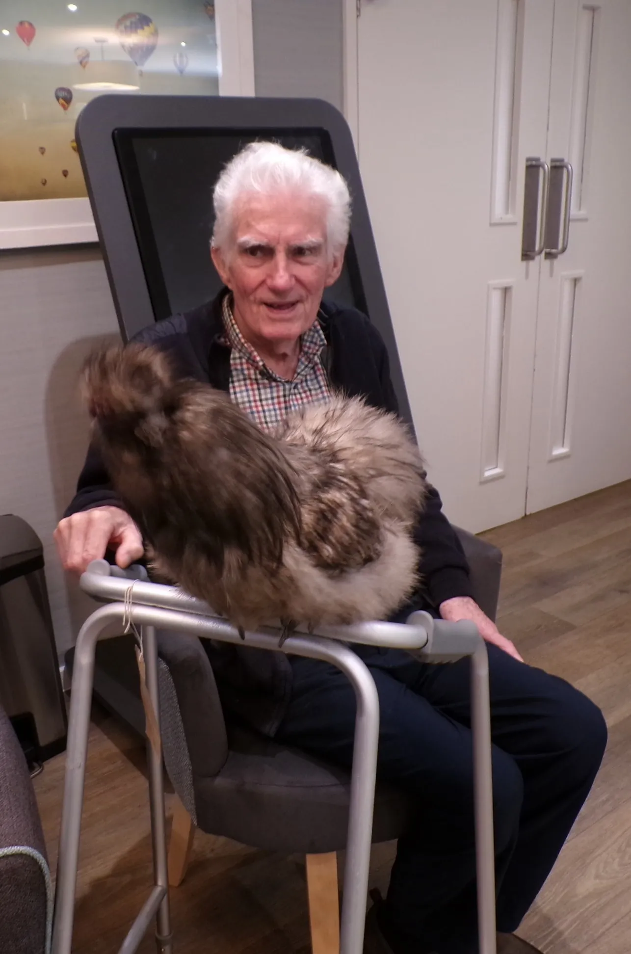 Animal therapy 