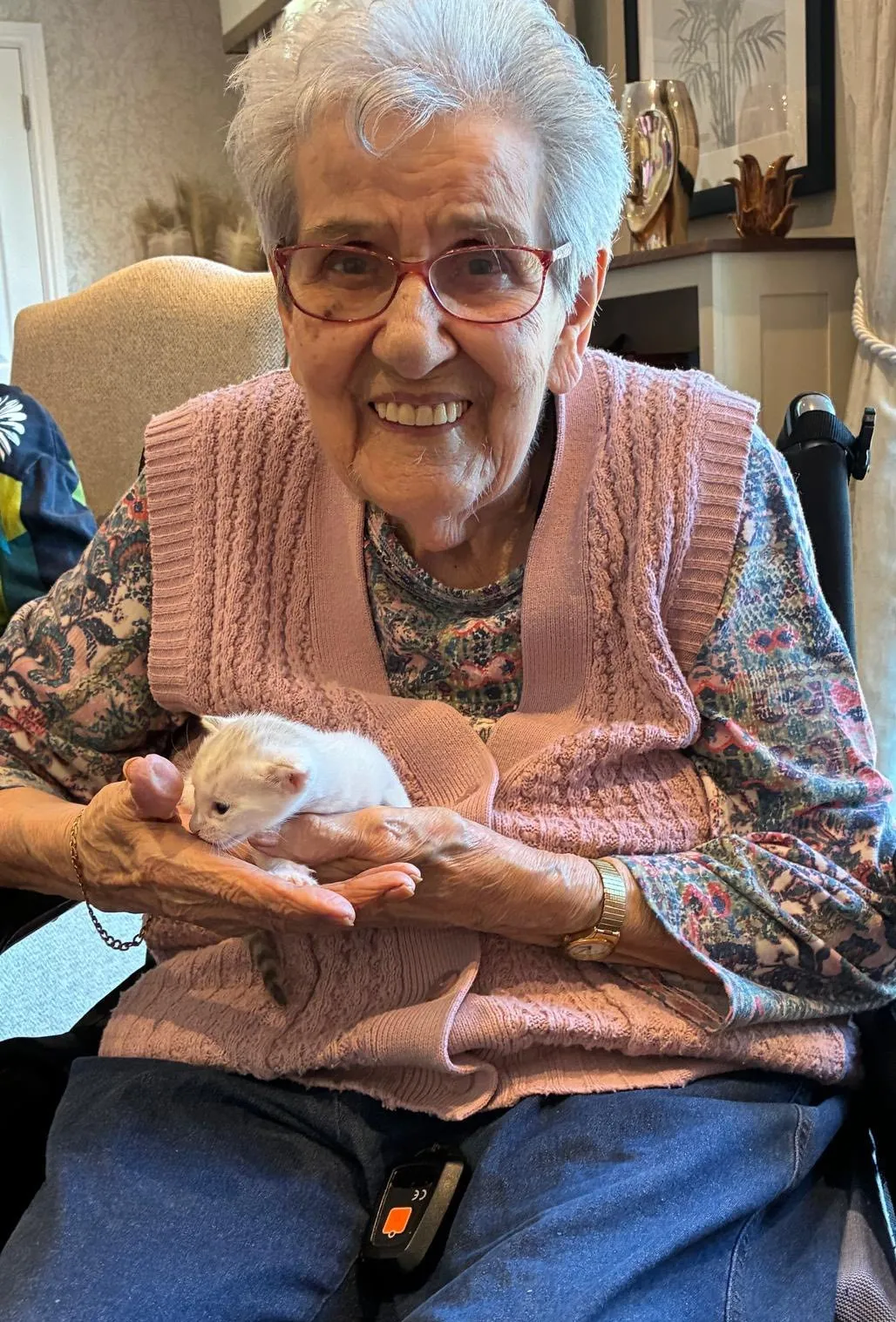 Animal Therapy at Kings Park Care Home